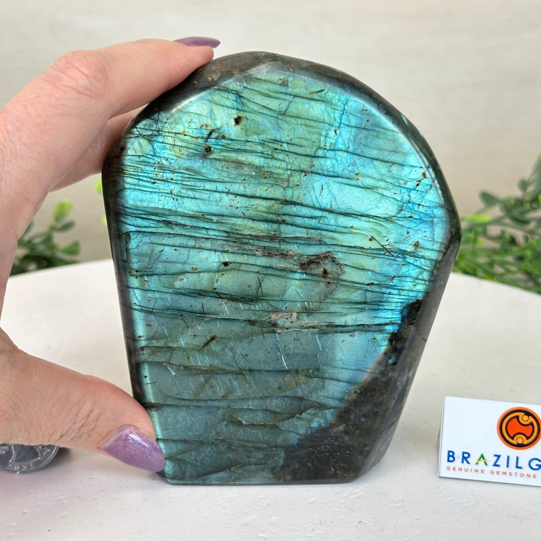 Polished Freeform Labradorite Gemstone, 2.5 lbs & 5” Tall #3301LB - 020 - Brazil GemsBrazil GemsPolished Freeform Labradorite Gemstone, 2.5 lbs & 5” Tall #3301LB - 020Freeform & Unique Shapes3301LB - 020