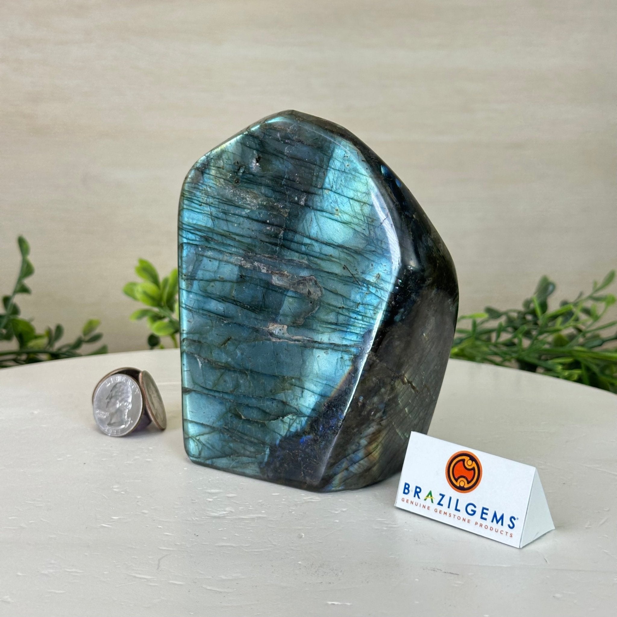 Polished Freeform Labradorite Gemstone, 2.5 lbs & 5” Tall #3301LB - 020 - Brazil GemsBrazil GemsPolished Freeform Labradorite Gemstone, 2.5 lbs & 5” Tall #3301LB - 020Freeform & Unique Shapes3301LB - 020