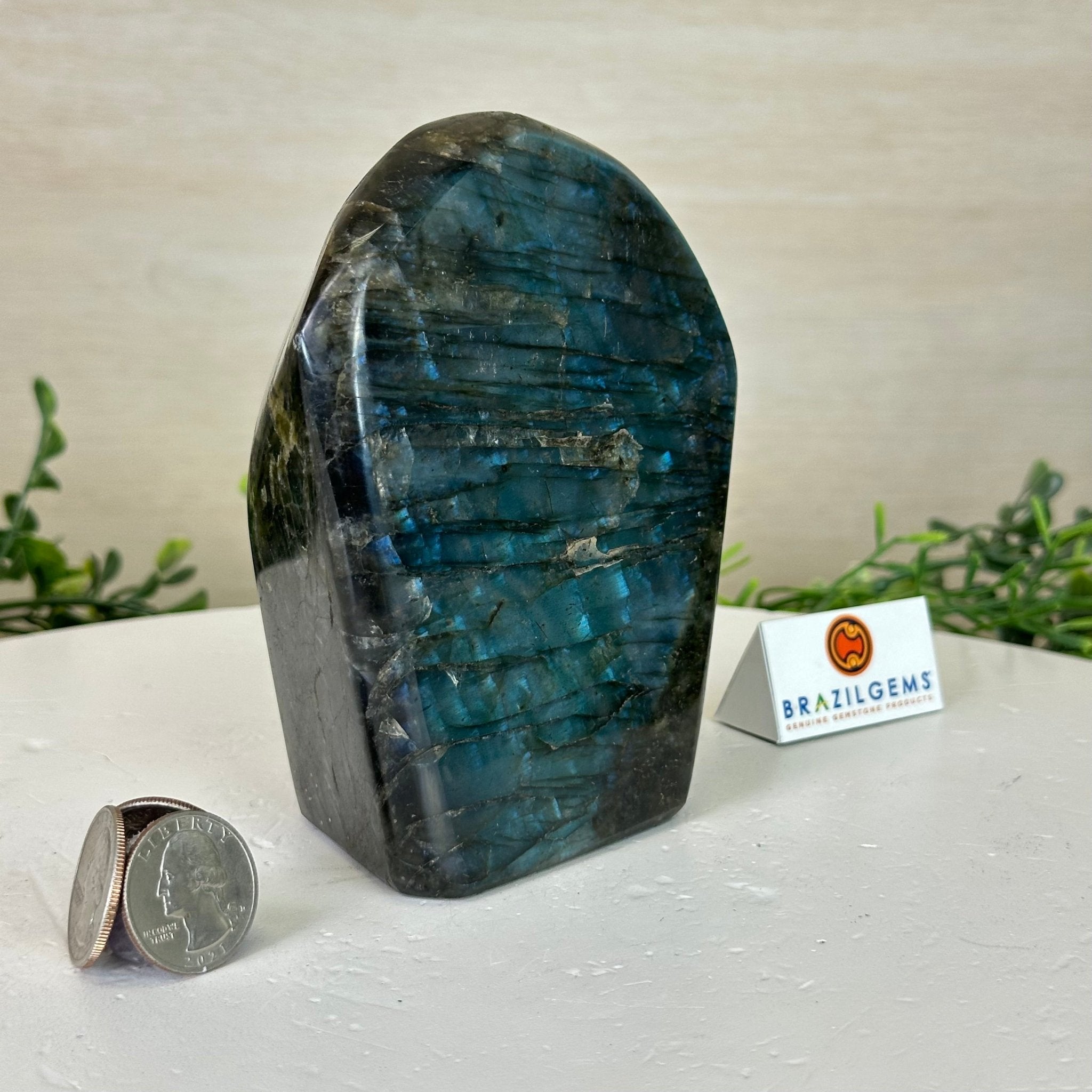 Polished Freeform Labradorite Gemstone, 2.5 lbs & 5” Tall #3301LB - 020 - Brazil GemsBrazil GemsPolished Freeform Labradorite Gemstone, 2.5 lbs & 5” Tall #3301LB - 020Freeform & Unique Shapes3301LB - 020