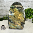 Polished Freeform Labradorite Gemstone, 6.75” tall Model #3301LB-035 by Brazil Gems - Brazil GemsBrazil GemsPolished Freeform Labradorite Gemstone, 6.75” tall Model #3301LB-035 by Brazil GemsFreeform & Unique Shapes3301LB-035