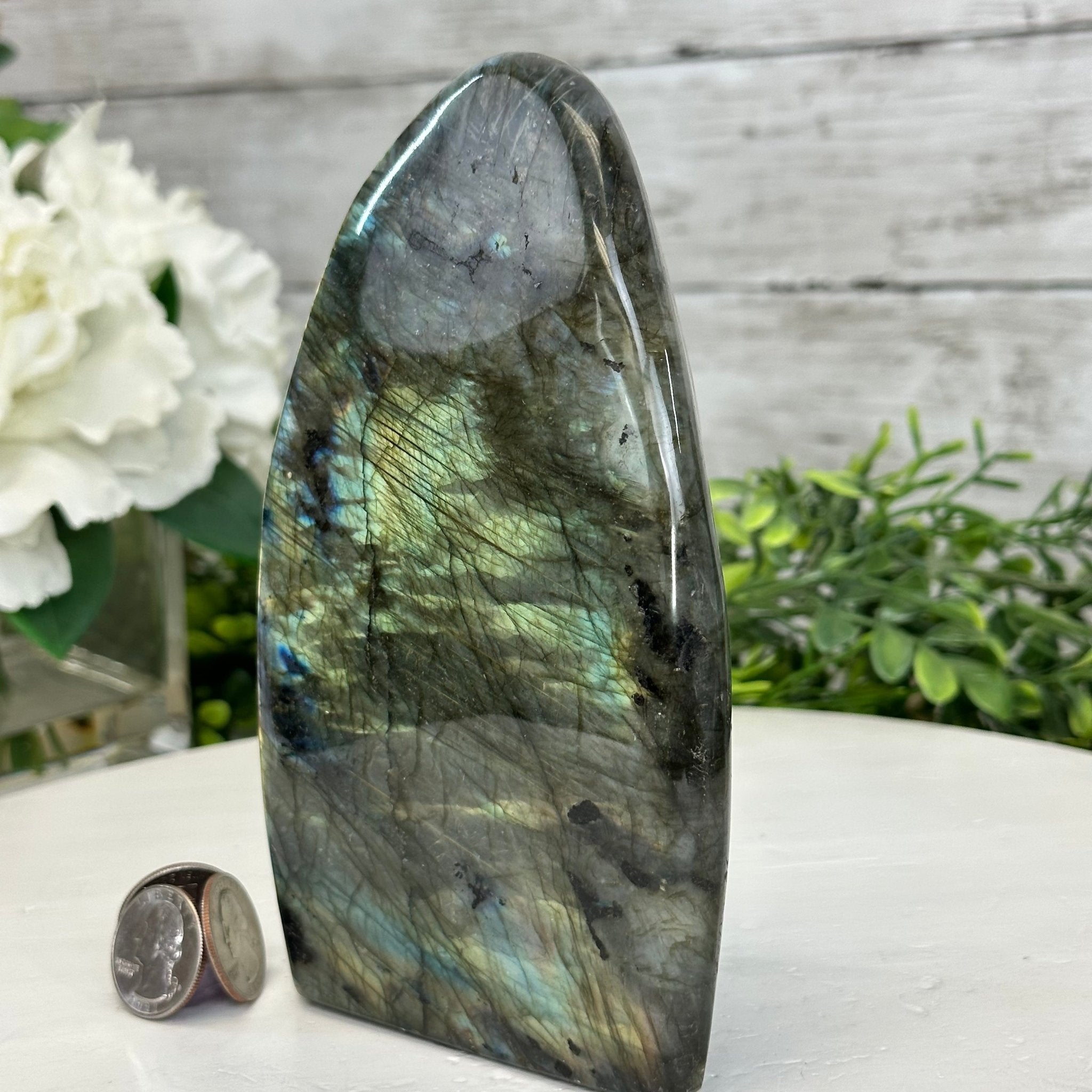 Labradorite Free Form Display, Polished Labradorite Crystal store Free Form, Labradorite Protection Free Form Crystal, Free Form Labradorite Stone