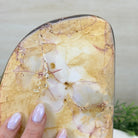 Polished Freeform Mookaite Jasper Gemstone, 3.7 lbs & 7.9” Tall #3301MJ - 002 - Brazil GemsBrazil GemsPolished Freeform Mookaite Jasper Gemstone, 3.7 lbs & 7.9” Tall #3301MJ - 002Freeform & Unique Shapes3301MJ - 002