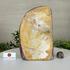 Polished Freeform Mookaite Jasper Gemstone, 3.7 lbs & 7.9” Tall #3301MJ - 002 - Brazil GemsBrazil GemsPolished Freeform Mookaite Jasper Gemstone, 3.7 lbs & 7.9” Tall #3301MJ - 002Freeform & Unique Shapes3301MJ - 002