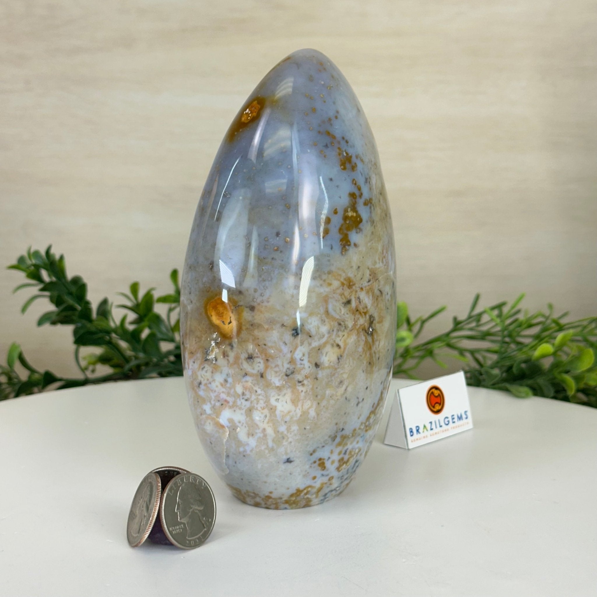 Polished Freeform Ocean Jasper Gemstone, 5.5 lbs & 7.4” Tall #3301OJ - 001 - Brazil GemsBrazil GemsPolished Freeform Ocean Jasper Gemstone, 5.5 lbs & 7.4” Tall #3301OJ - 001Freeform & Unique Shapes3301OJ - 001