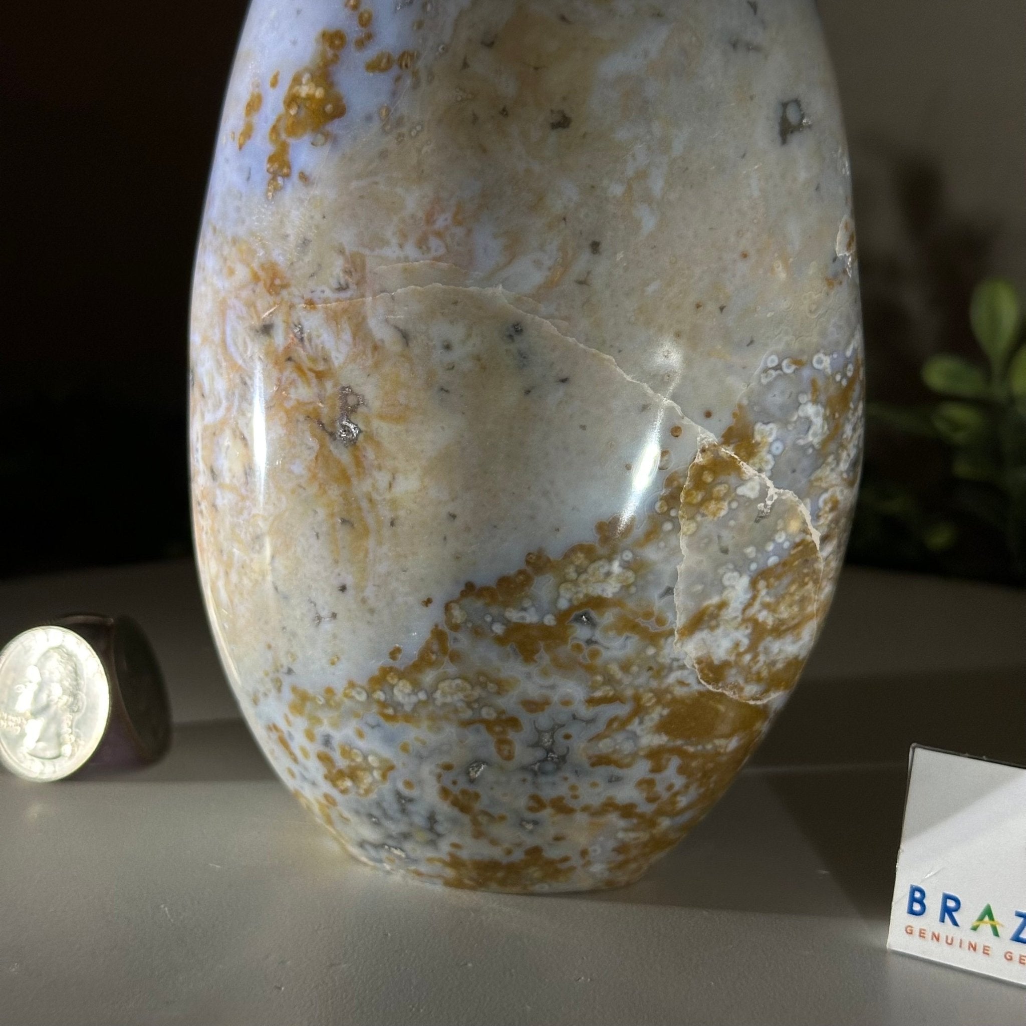 Polished Freeform Ocean Jasper Gemstone, 5.5 lbs & 7.4” Tall #3301OJ - 001 - Brazil GemsBrazil GemsPolished Freeform Ocean Jasper Gemstone, 5.5 lbs & 7.4” Tall #3301OJ - 001Freeform & Unique Shapes3301OJ - 001