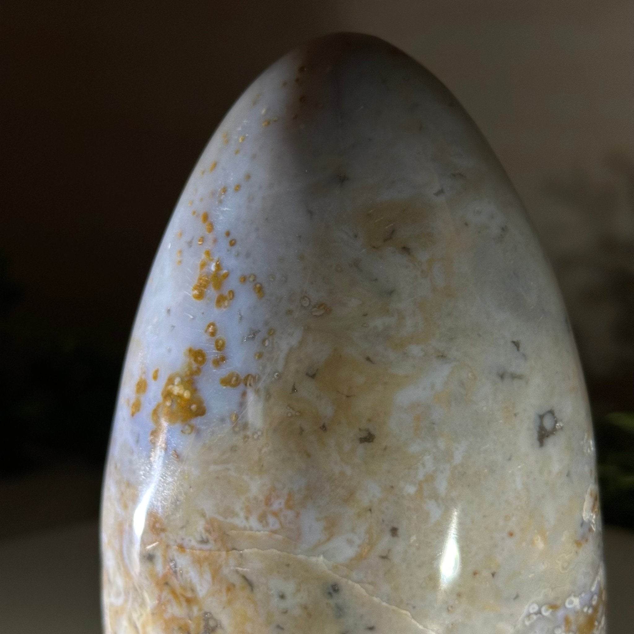 Polished Freeform Ocean Jasper Gemstone, 5.5 lbs & 7.4” Tall #3301OJ - 001 - Brazil GemsBrazil GemsPolished Freeform Ocean Jasper Gemstone, 5.5 lbs & 7.4” Tall #3301OJ - 001Freeform & Unique Shapes3301OJ - 001