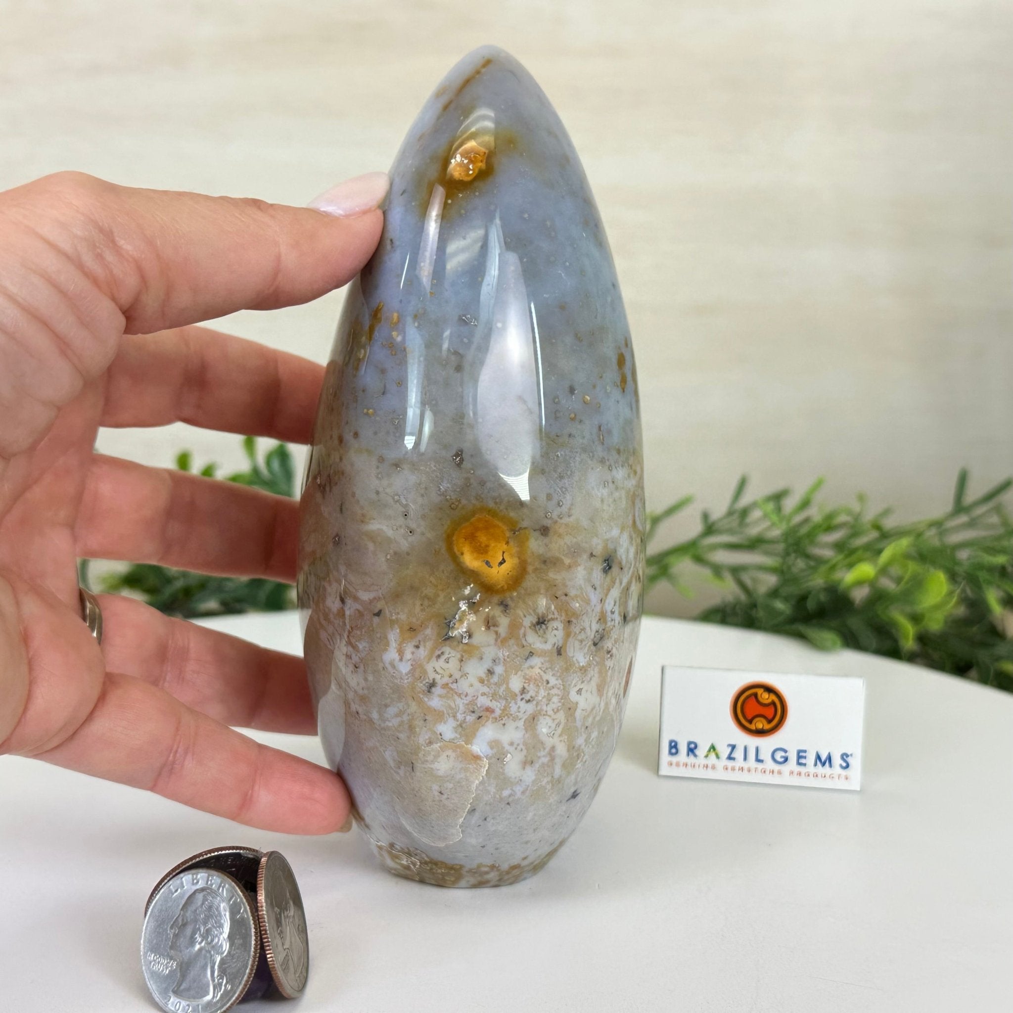 Polished Freeform Ocean Jasper Gemstone, 5.5 lbs & 7.4” Tall #3301OJ - 001 - Brazil GemsBrazil GemsPolished Freeform Ocean Jasper Gemstone, 5.5 lbs & 7.4” Tall #3301OJ - 001Freeform & Unique Shapes3301OJ - 001