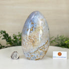 Polished Freeform Ocean Jasper Gemstone, 5.5 lbs & 7.4” Tall #3301OJ - 001 - Brazil GemsBrazil GemsPolished Freeform Ocean Jasper Gemstone, 5.5 lbs & 7.4” Tall #3301OJ - 001Freeform & Unique Shapes3301OJ - 001