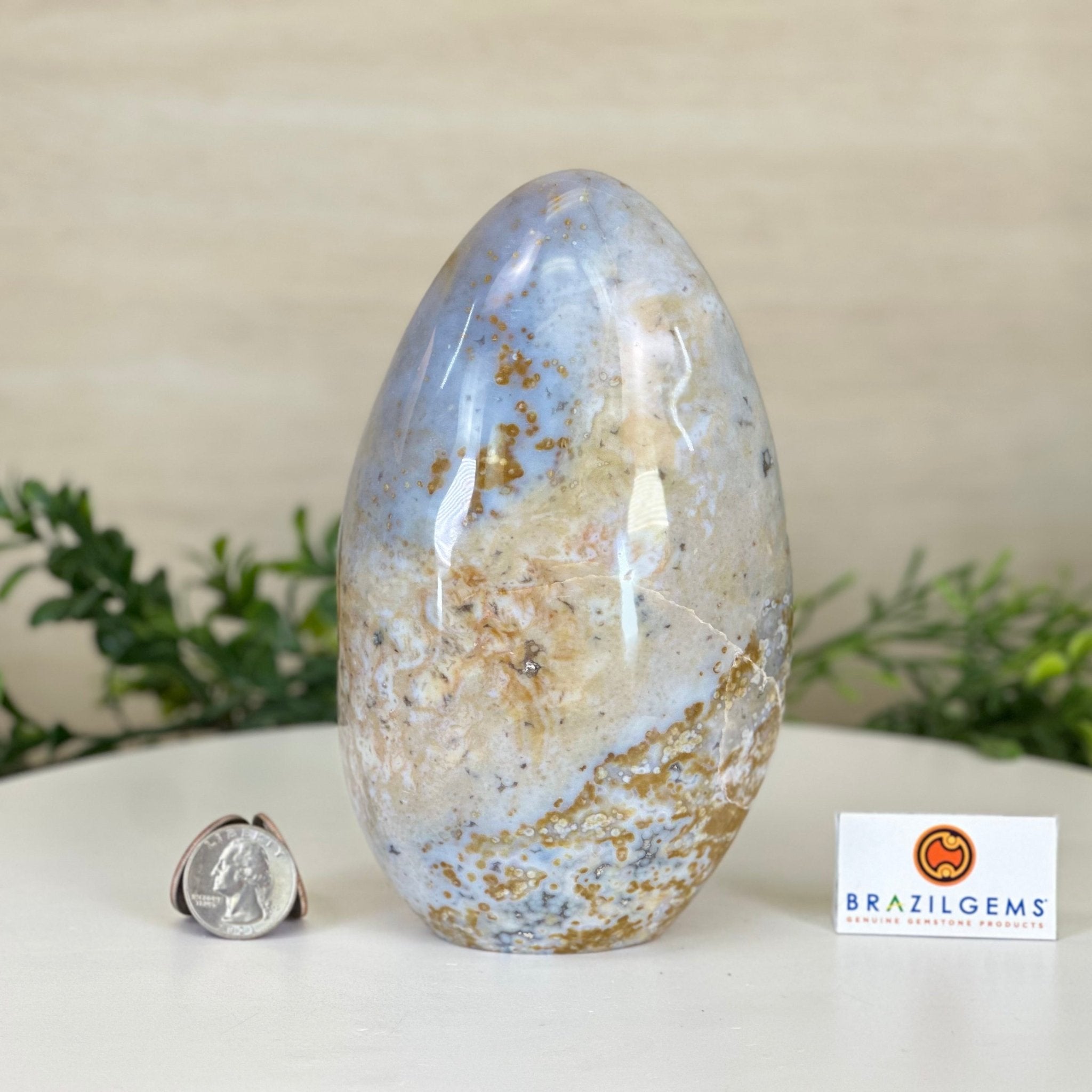Polished Freeform Ocean Jasper Gemstone, 5.5 lbs & 7.4” Tall #3301OJ - 001 - Brazil GemsBrazil GemsPolished Freeform Ocean Jasper Gemstone, 5.5 lbs & 7.4” Tall #3301OJ - 001Freeform & Unique Shapes3301OJ - 001