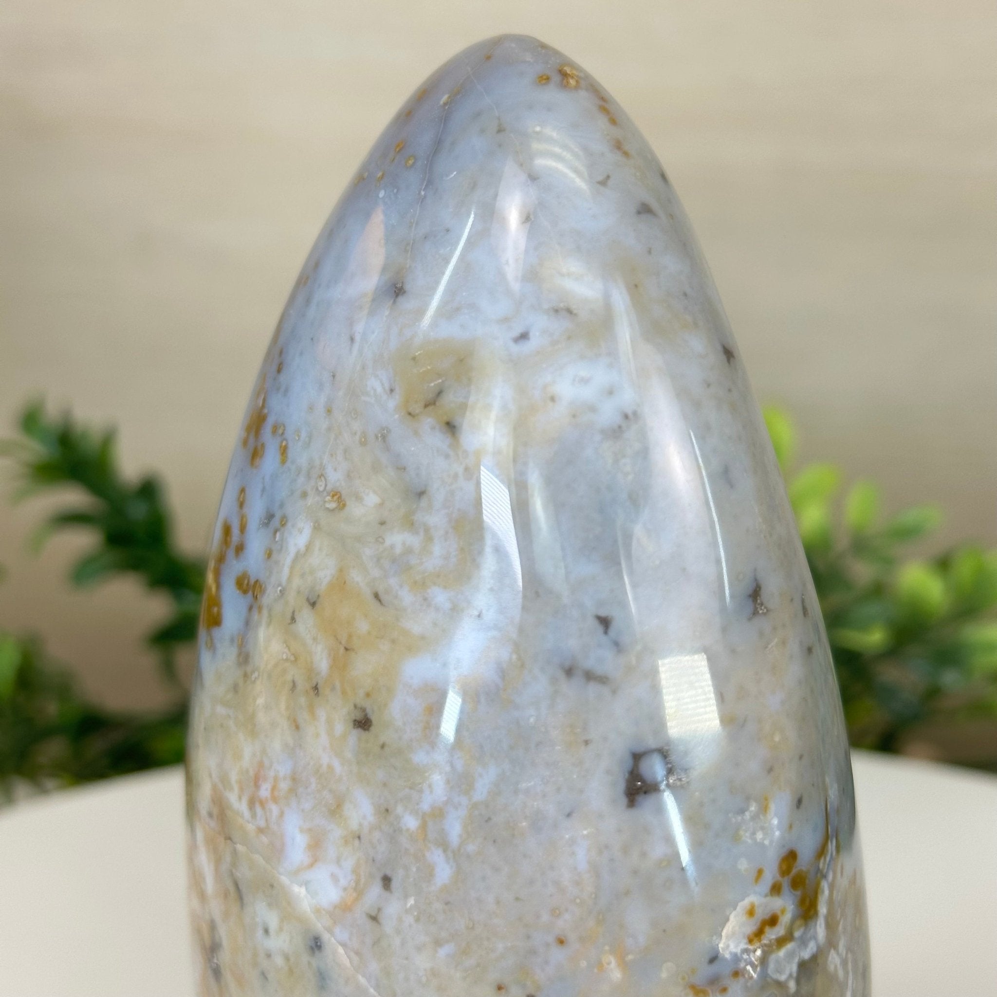 Polished Freeform Ocean Jasper Gemstone, 5.5 lbs & 7.4” Tall #3301OJ - 001 - Brazil GemsBrazil GemsPolished Freeform Ocean Jasper Gemstone, 5.5 lbs & 7.4” Tall #3301OJ - 001Freeform & Unique Shapes3301OJ - 001