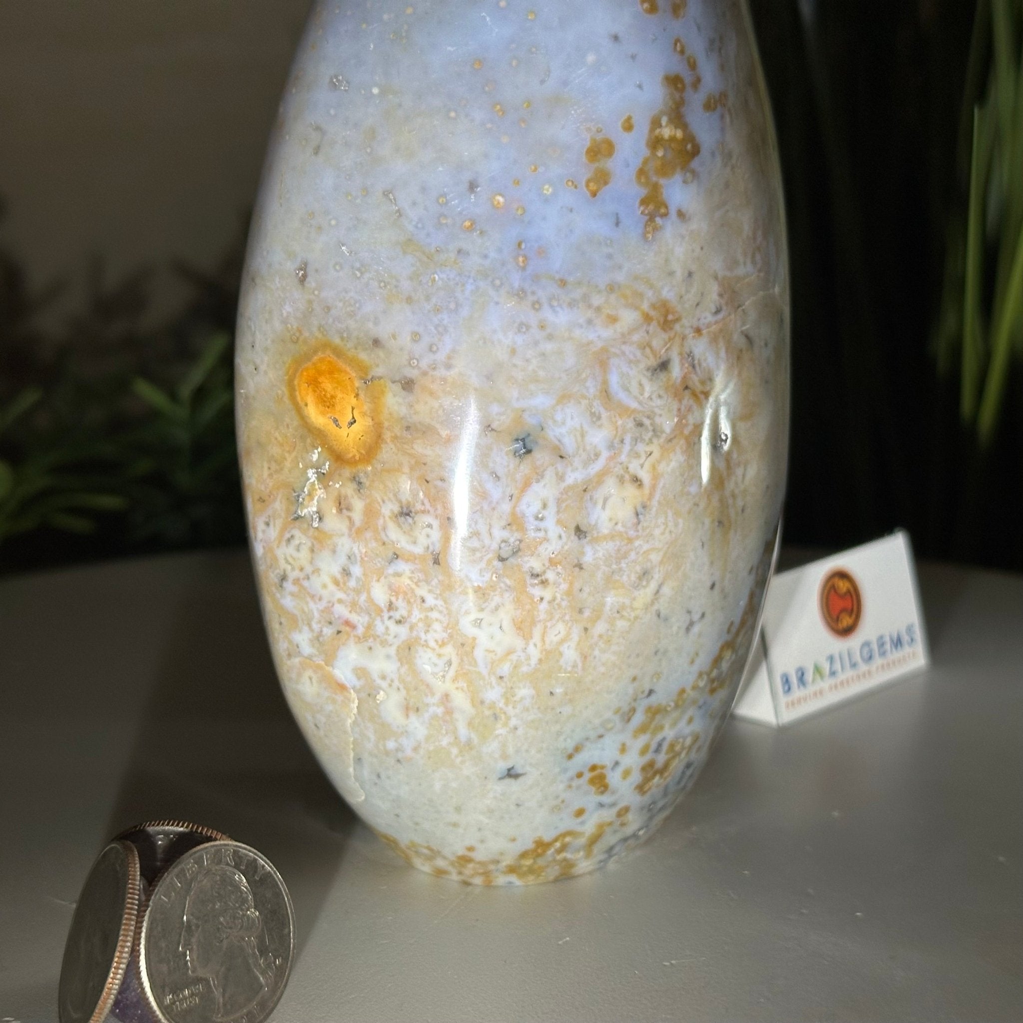 Polished Freeform Ocean Jasper Gemstone, 5.5 lbs & 7.4” Tall #3301OJ - 001 - Brazil GemsBrazil GemsPolished Freeform Ocean Jasper Gemstone, 5.5 lbs & 7.4” Tall #3301OJ - 001Freeform & Unique Shapes3301OJ - 001