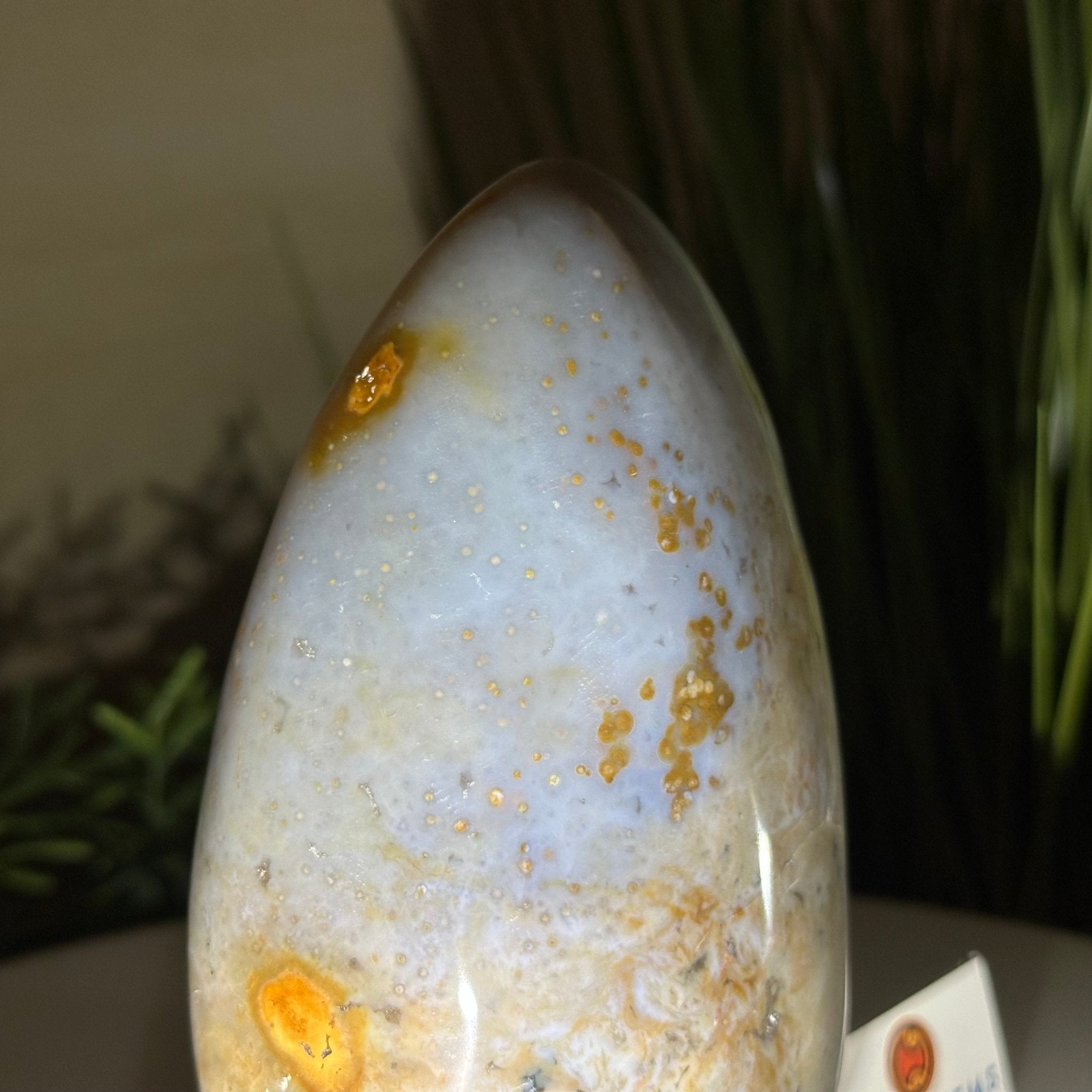 Polished Freeform Ocean Jasper Gemstone, 5.5 lbs & 7.4” Tall #3301OJ - 001 - Brazil GemsBrazil GemsPolished Freeform Ocean Jasper Gemstone, 5.5 lbs & 7.4” Tall #3301OJ - 001Freeform & Unique Shapes3301OJ - 001