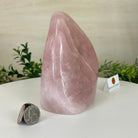 Polished Freeform Rose Quartz Gemstone, 2.6 lbs & 5.6” tall Model #3301RQ - 002 - Brazil GemsBrazil GemsPolished Freeform Rose Quartz Gemstone, 2.6 lbs & 5.6” tall Model #3301RQ - 002Freeform & Unique Shapes3301RQ - 002