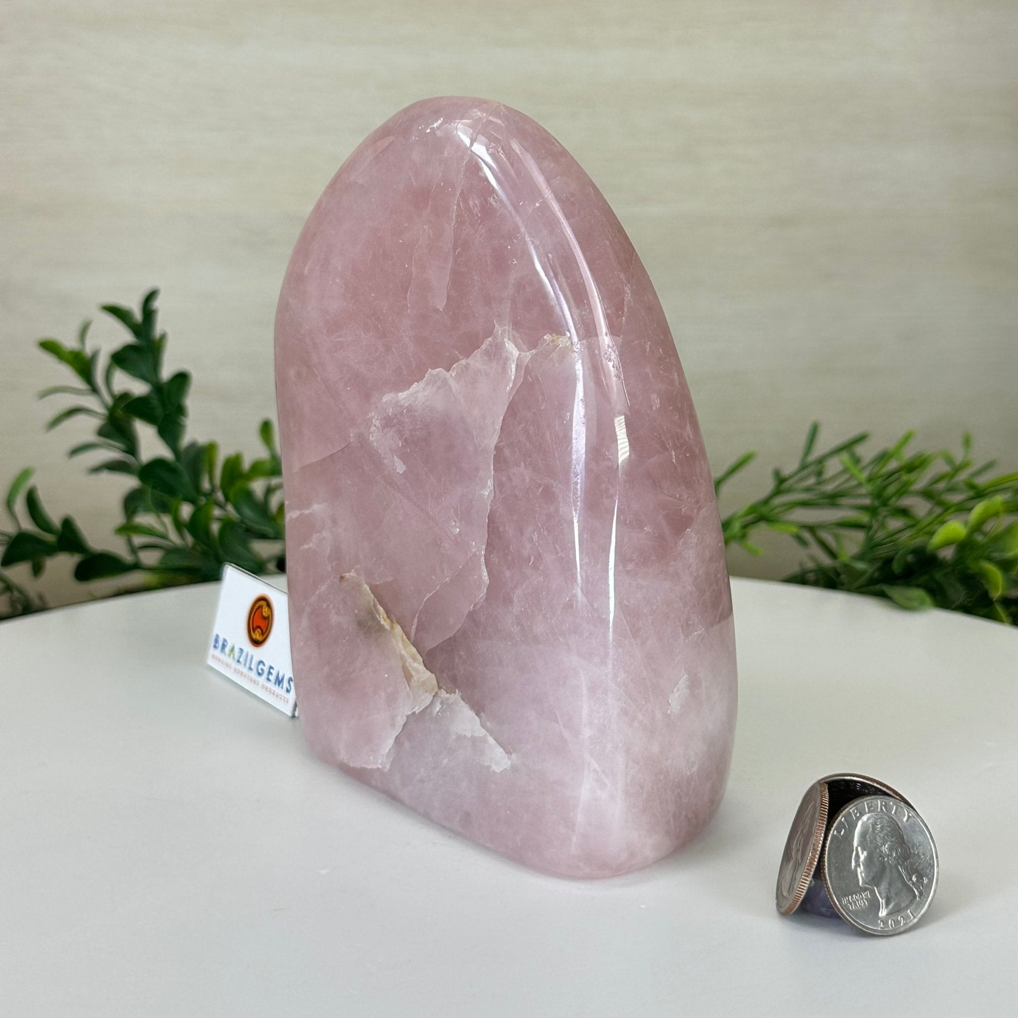 Polished Freeform Rose Quartz Gemstone, 2.6 lbs & 5.6” tall Model #3301RQ - 002 - Brazil GemsBrazil GemsPolished Freeform Rose Quartz Gemstone, 2.6 lbs & 5.6” tall Model #3301RQ - 002Freeform & Unique Shapes3301RQ - 002