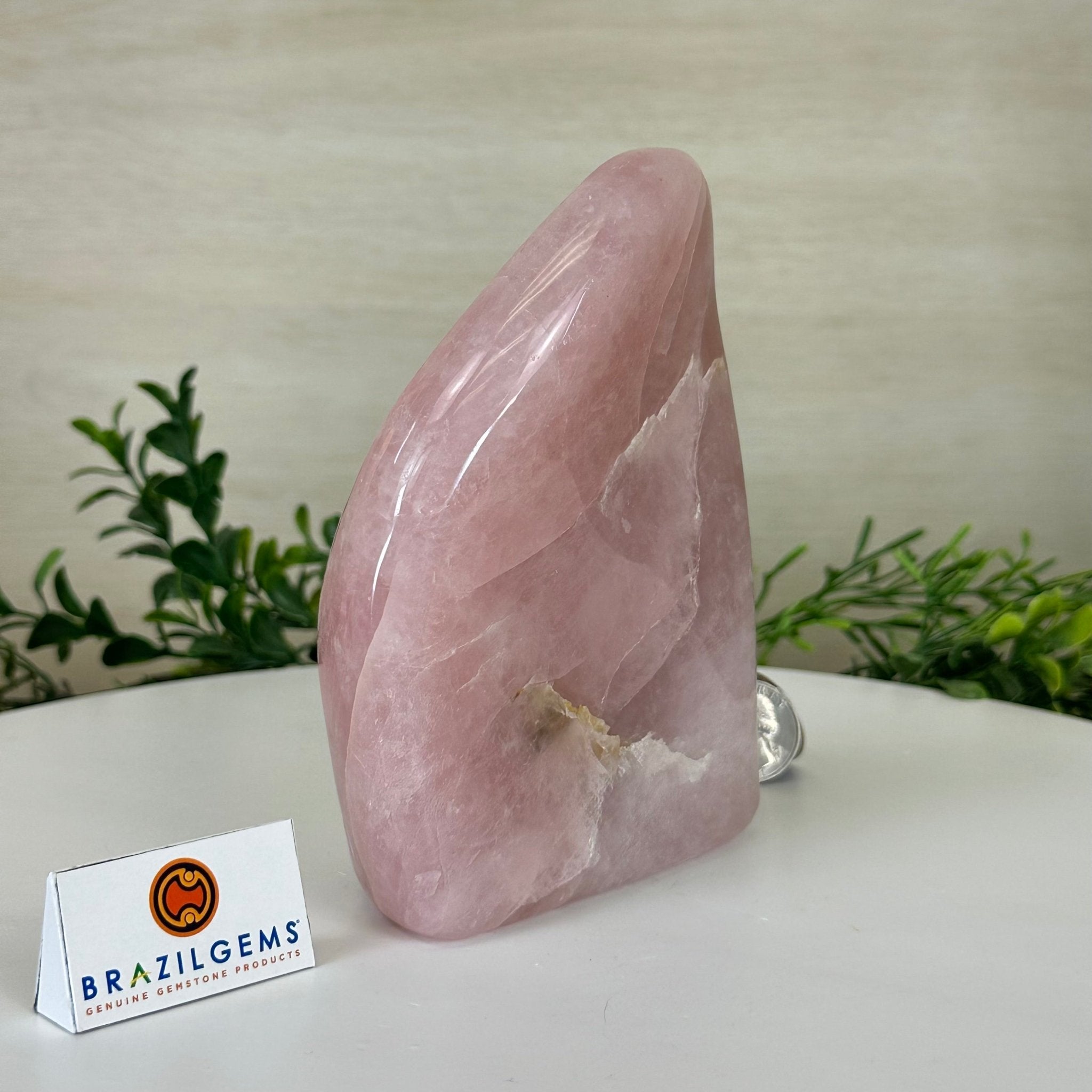 Polished Freeform Rose Quartz Gemstone, 2.6 lbs & 5.6” tall Model #3301RQ - 002 - Brazil GemsBrazil GemsPolished Freeform Rose Quartz Gemstone, 2.6 lbs & 5.6” tall Model #3301RQ - 002Freeform & Unique Shapes3301RQ - 002