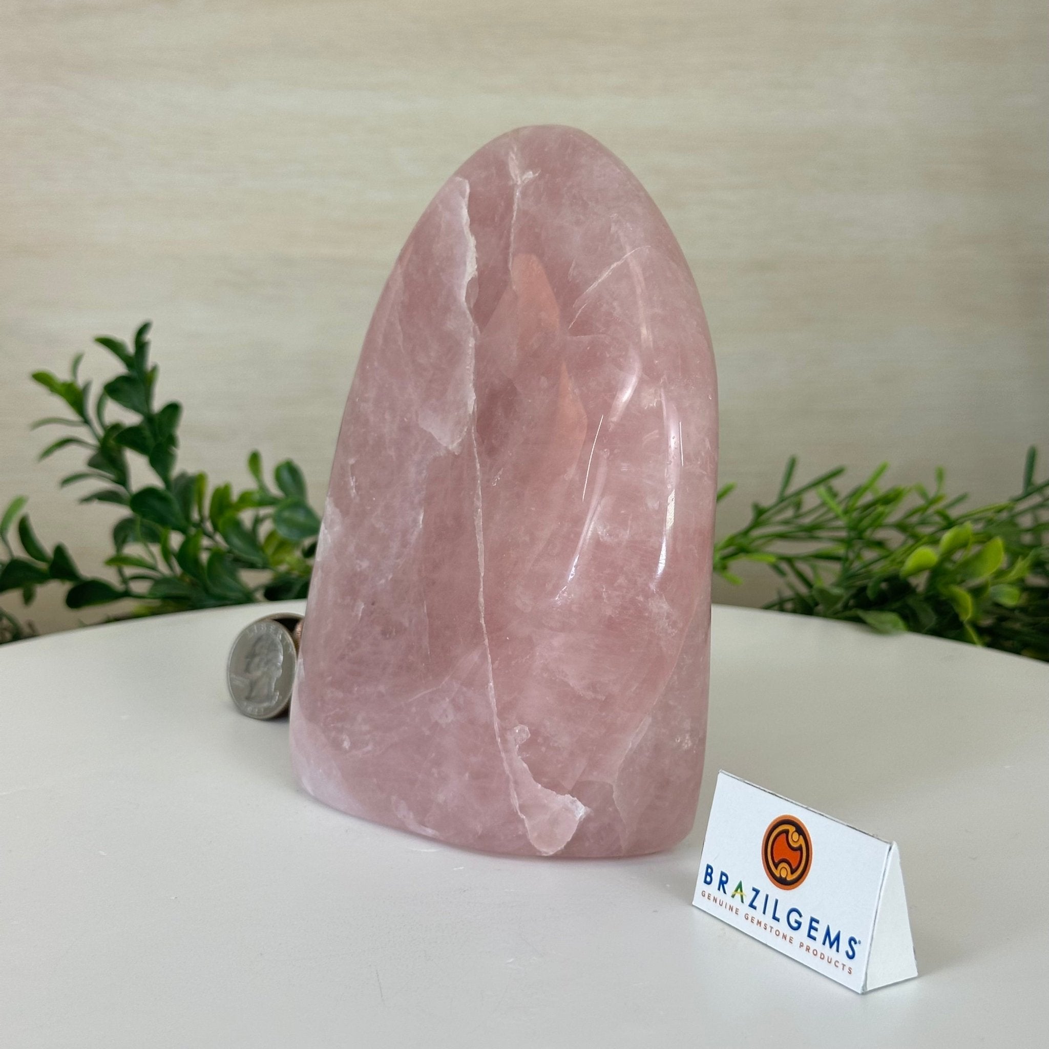 Polished Freeform Rose Quartz Gemstone, 2.6 lbs & 5.6” tall Model #3301RQ - 002 - Brazil GemsBrazil GemsPolished Freeform Rose Quartz Gemstone, 2.6 lbs & 5.6” tall Model #3301RQ - 002Freeform & Unique Shapes3301RQ - 002