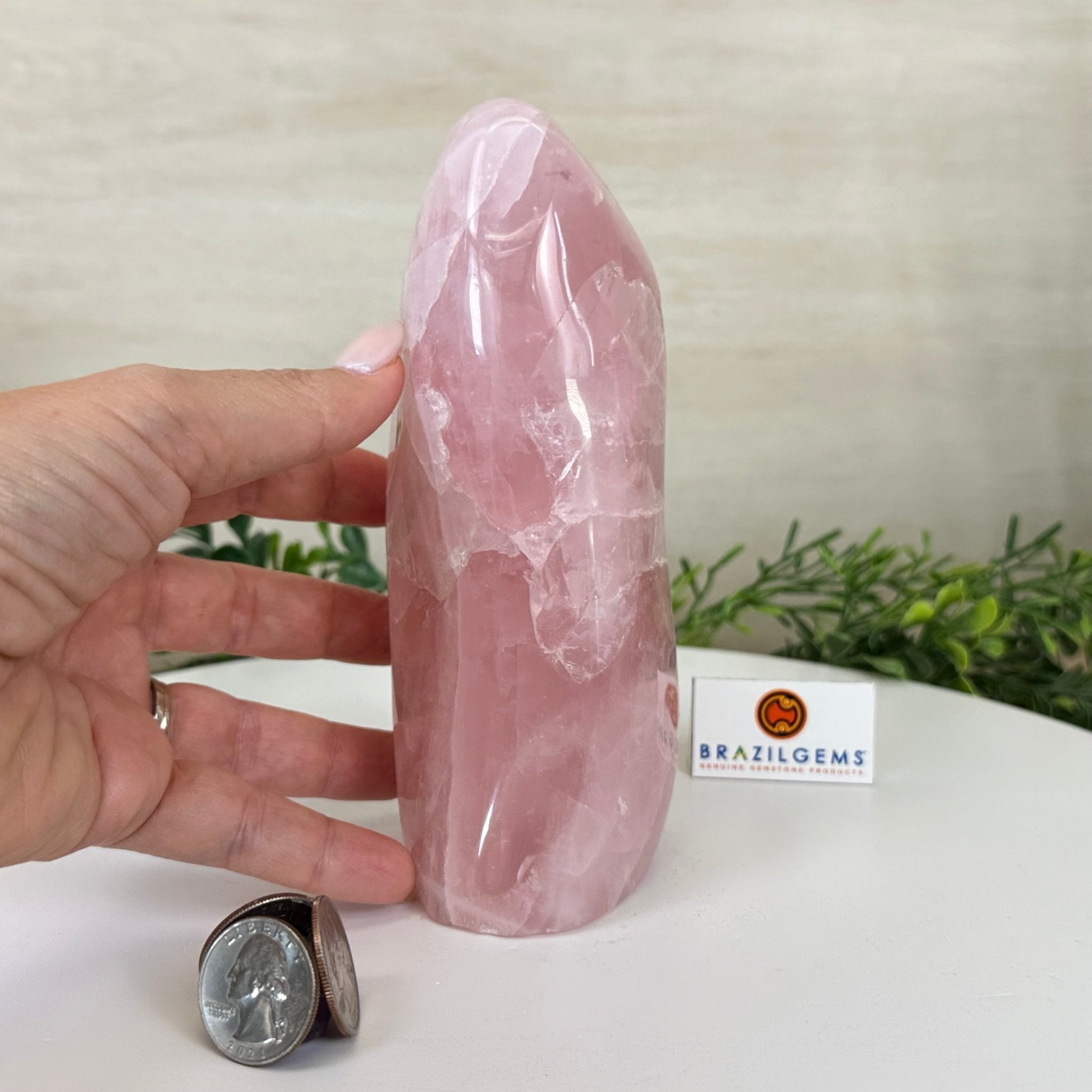 Polished Freeform Rose Quartz Gemstone, 3.1 lbs & 6.6” tall Model #3301RQ - 004 - Brazil GemsBrazil GemsPolished Freeform Rose Quartz Gemstone, 3.1 lbs & 6.6” tall Model #3301RQ - 004Freeform & Unique Shapes3301RQ - 004