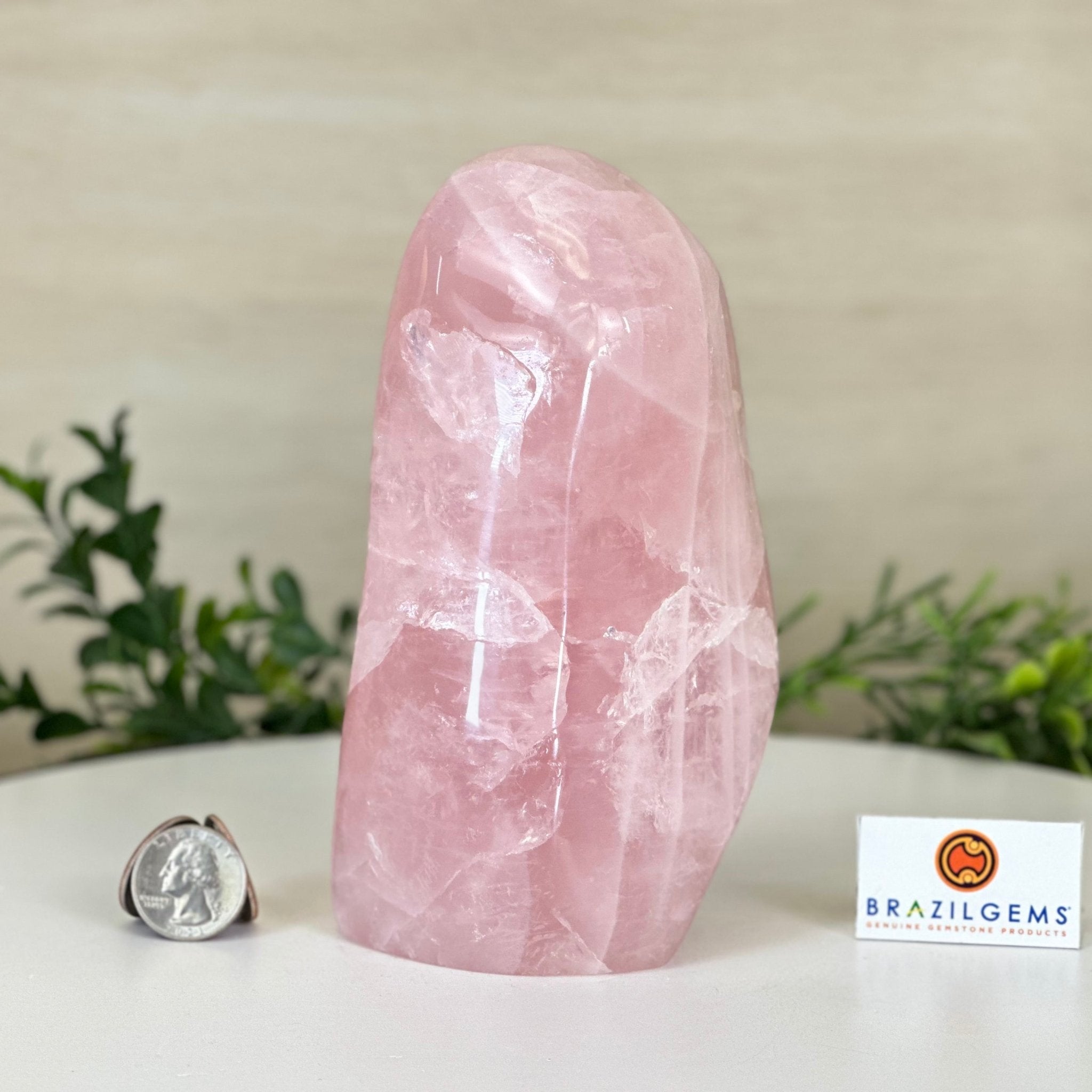 Polished Freeform Rose Quartz Gemstone, 3.1 lbs & 6.6” tall Model #3301RQ - 004 - Brazil GemsBrazil GemsPolished Freeform Rose Quartz Gemstone, 3.1 lbs & 6.6” tall Model #3301RQ - 004Freeform & Unique Shapes3301RQ - 004