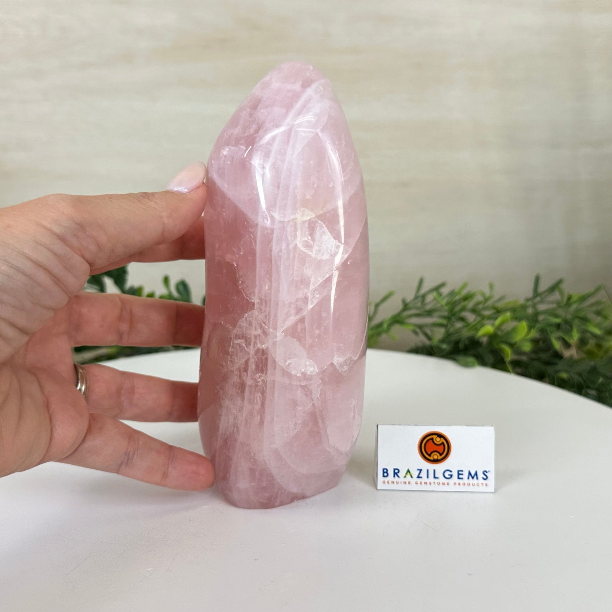 Polished Freeform Rose Quartz Gemstone, 3.1 lbs & 6.6” tall Model #3301RQ - 004 - Brazil GemsBrazil GemsPolished Freeform Rose Quartz Gemstone, 3.1 lbs & 6.6” tall Model #3301RQ - 004Freeform & Unique Shapes3301RQ - 004
