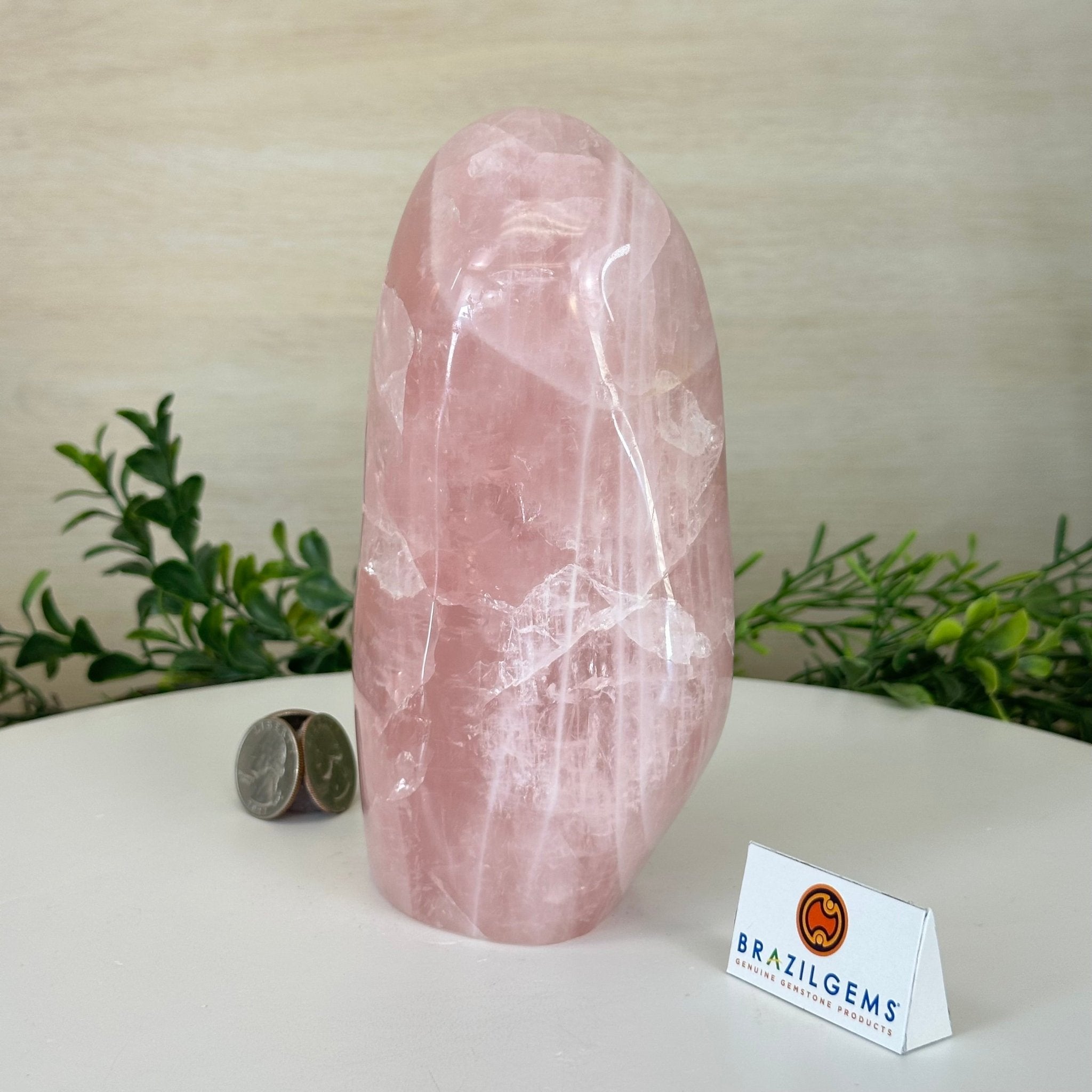 Polished Freeform Rose Quartz Gemstone, 3.1 lbs & 6.6” tall Model #3301RQ - 004 - Brazil GemsBrazil GemsPolished Freeform Rose Quartz Gemstone, 3.1 lbs & 6.6” tall Model #3301RQ - 004Freeform & Unique Shapes3301RQ - 004