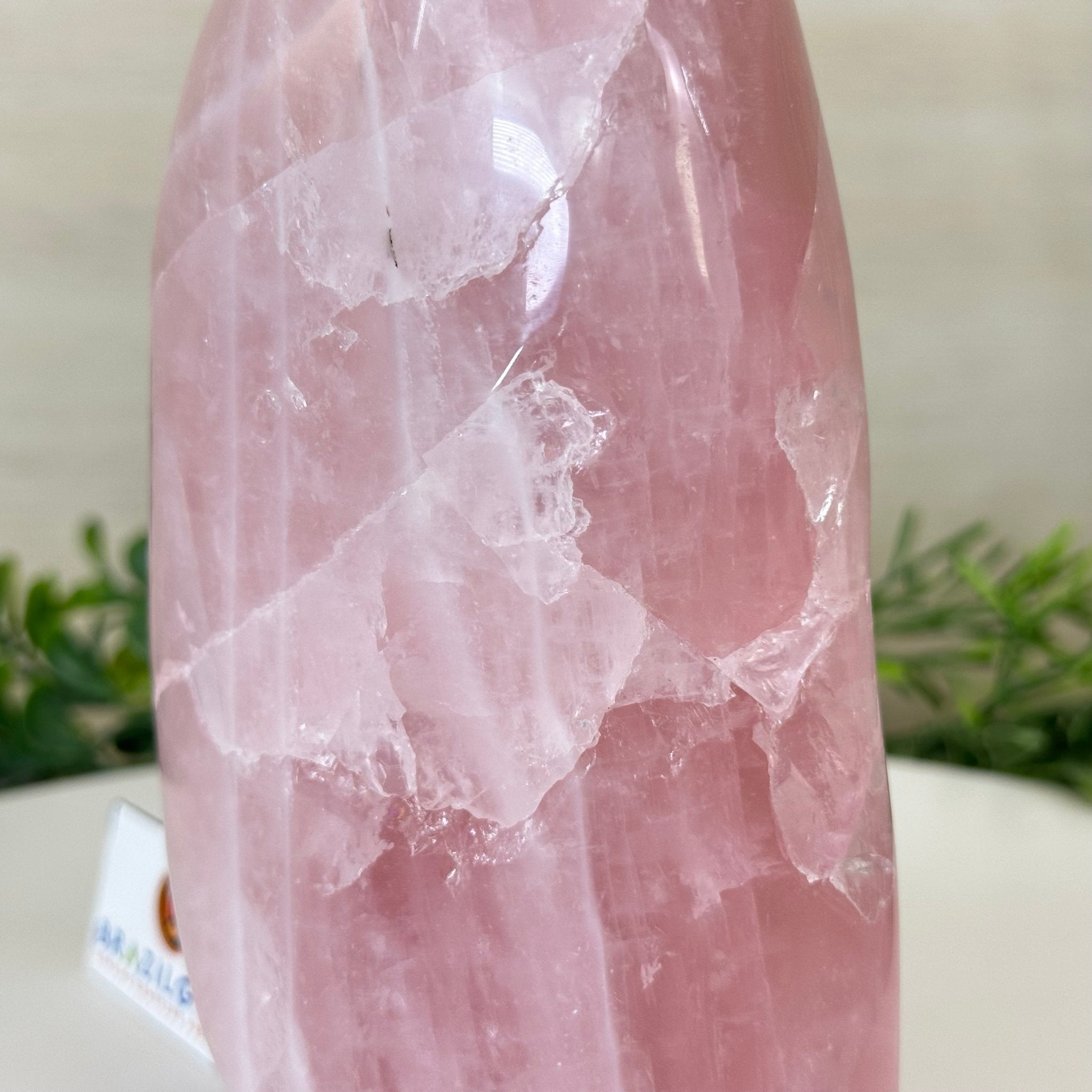 Polished Freeform Rose Quartz Gemstone, 3.1 lbs & 6.6” tall Model #3301RQ - 004 - Brazil GemsBrazil GemsPolished Freeform Rose Quartz Gemstone, 3.1 lbs & 6.6” tall Model #3301RQ - 004Freeform & Unique Shapes3301RQ - 004