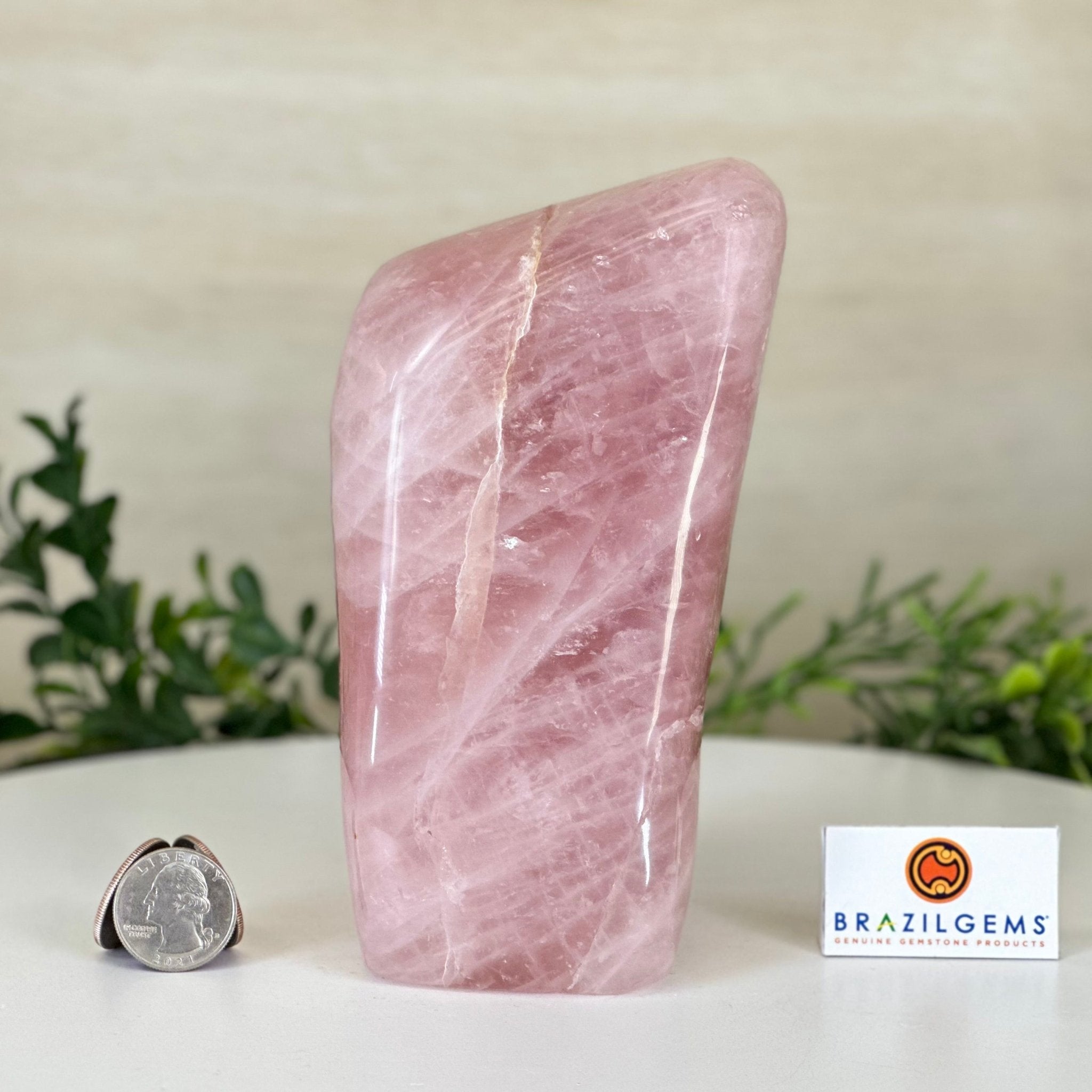Polished Freeform Rose Quartz Gemstone, 3.5 lbs & 6.3” tall Model #3301RQ - 003 - Brazil GemsBrazil GemsPolished Freeform Rose Quartz Gemstone, 3.5 lbs & 6.3” tall Model #3301RQ - 003Freeform & Unique Shapes3301RQ - 003