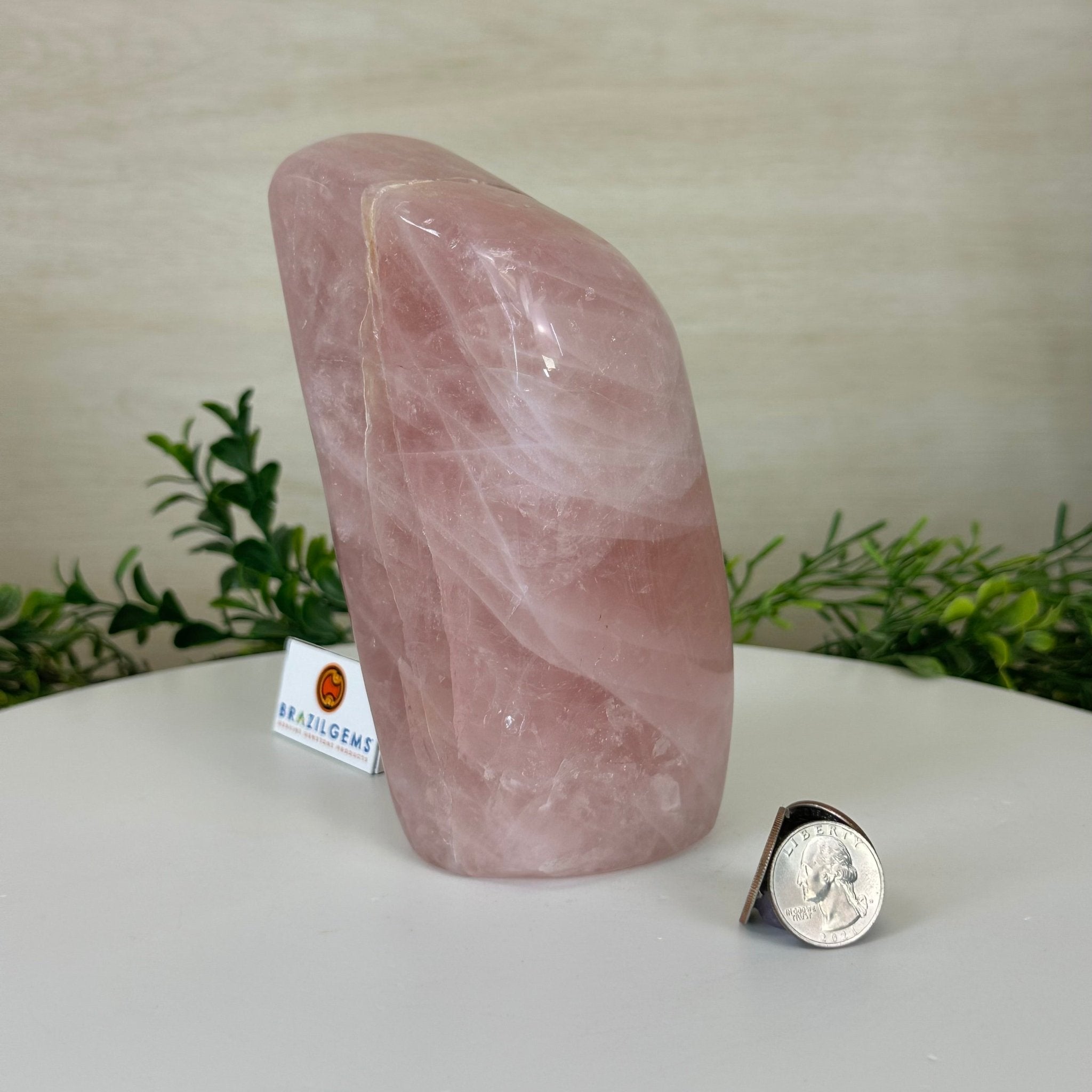 Polished Freeform Rose Quartz Gemstone, 3.5 lbs & 6.3” tall Model #3301RQ - 003 - Brazil GemsBrazil GemsPolished Freeform Rose Quartz Gemstone, 3.5 lbs & 6.3” tall Model #3301RQ - 003Freeform & Unique Shapes3301RQ - 003