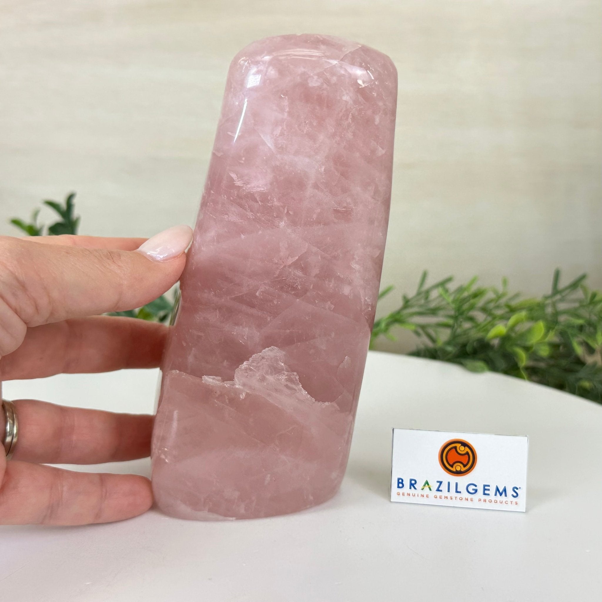Polished Freeform Rose Quartz Gemstone, 3.5 lbs & 6.3” tall Model #3301RQ - 003 - Brazil GemsBrazil GemsPolished Freeform Rose Quartz Gemstone, 3.5 lbs & 6.3” tall Model #3301RQ - 003Freeform & Unique Shapes3301RQ - 003