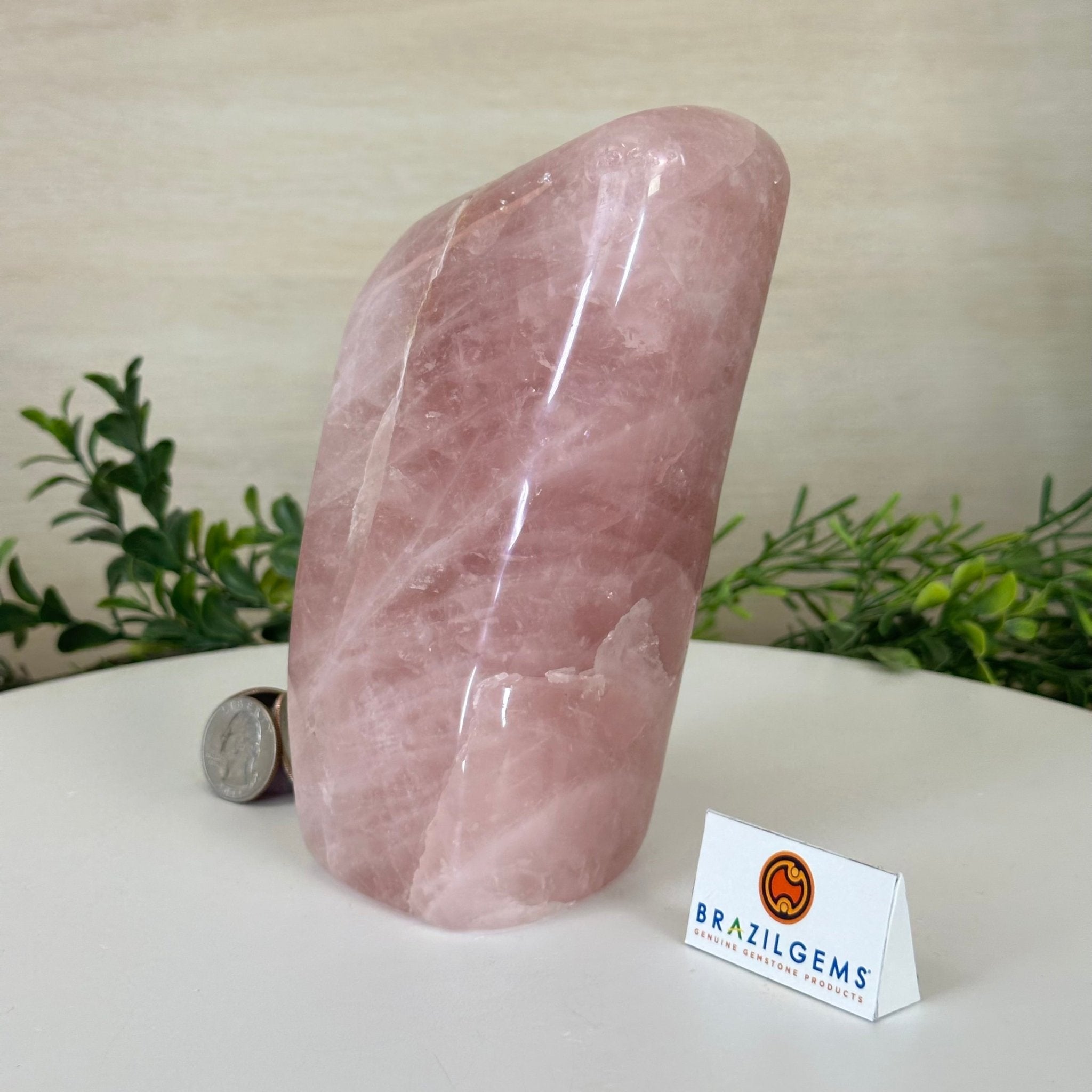 Polished Freeform Rose Quartz Gemstone, 3.5 lbs & 6.3” tall Model #3301RQ - 003 - Brazil GemsBrazil GemsPolished Freeform Rose Quartz Gemstone, 3.5 lbs & 6.3” tall Model #3301RQ - 003Freeform & Unique Shapes3301RQ - 003