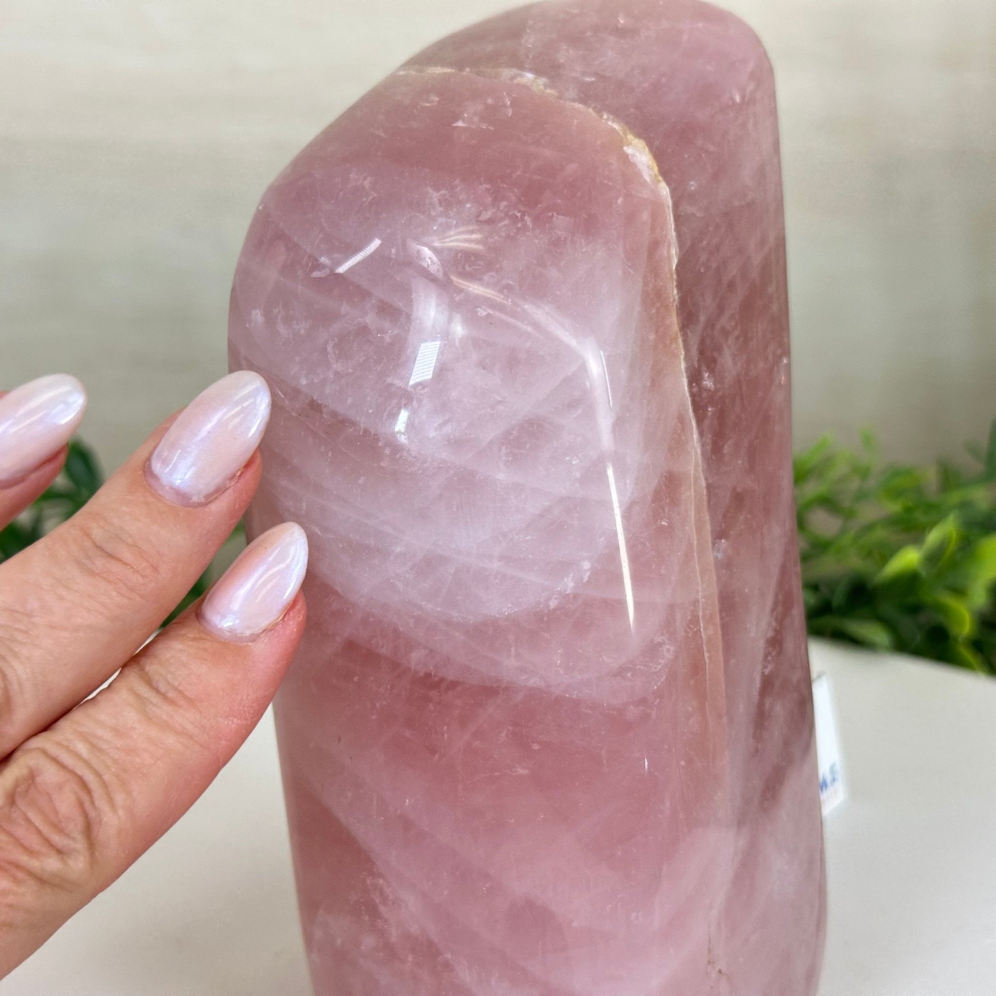 Polished Freeform Rose Quartz Gemstone, 3.5 lbs & 6.3” tall Model #3301RQ - 003 - Brazil GemsBrazil GemsPolished Freeform Rose Quartz Gemstone, 3.5 lbs & 6.3” tall Model #3301RQ - 003Freeform & Unique Shapes3301RQ - 003