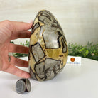 Polished Freeform Septarian Gemstone, 6.3 lbs & 6.2” Tall #3301SP - 001 - Brazil GemsBrazil GemsPolished Freeform Septarian Gemstone, 6.3 lbs & 6.2” Tall #3301SP - 001Freeform & Unique Shapes3301SP - 001
