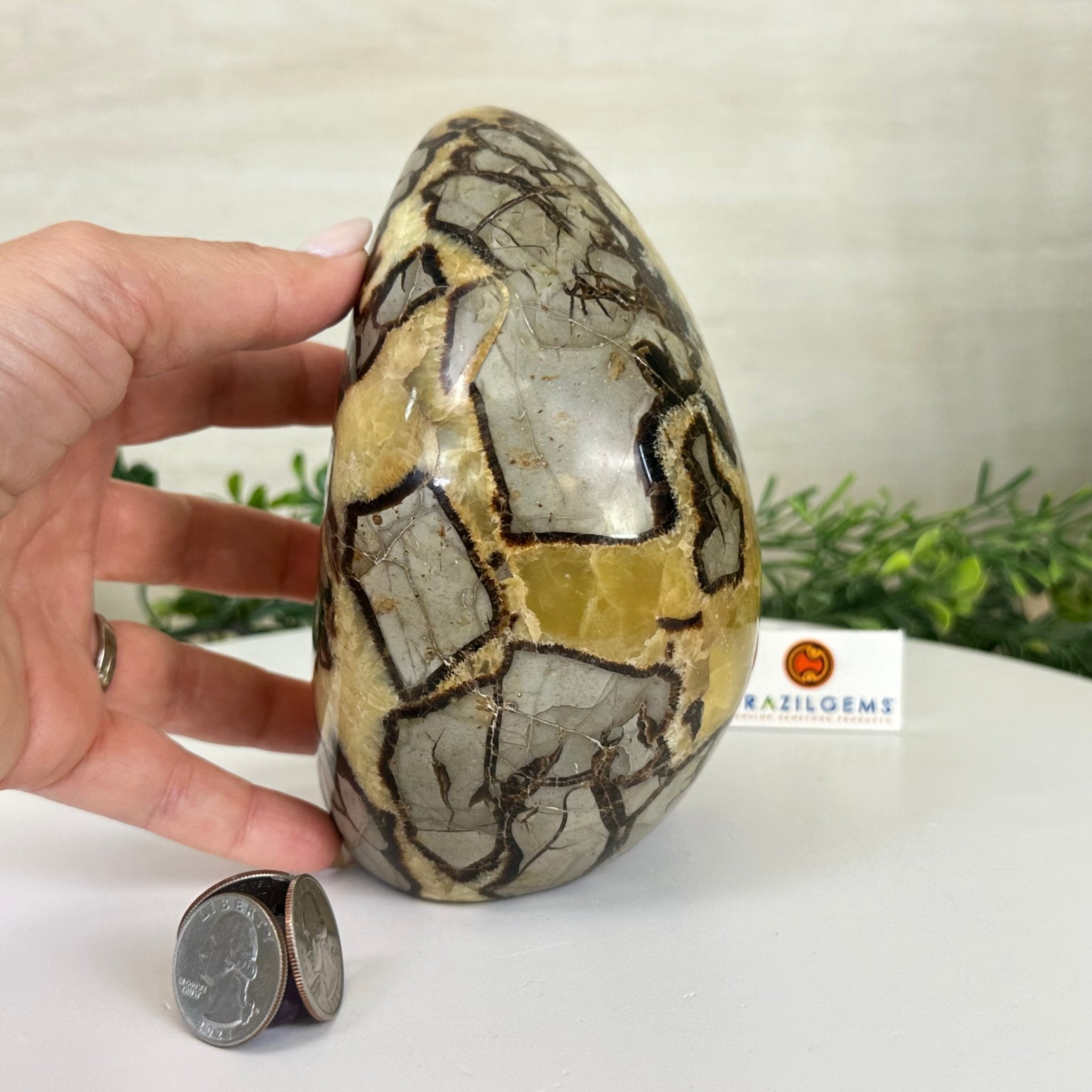 Polished Freeform Septarian Gemstone, 6.3 lbs & 6.2” Tall #3301SP - 001 - Brazil GemsBrazil GemsPolished Freeform Septarian Gemstone, 6.3 lbs & 6.2” Tall #3301SP - 001Freeform & Unique Shapes3301SP - 001
