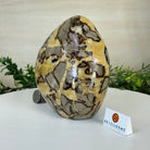 Polished Freeform Septarian Gemstone, 6.3 lbs & 6.2” Tall #3301SP - 001 - Brazil GemsBrazil GemsPolished Freeform Septarian Gemstone, 6.3 lbs & 6.2” Tall #3301SP - 001Freeform & Unique Shapes3301SP - 001