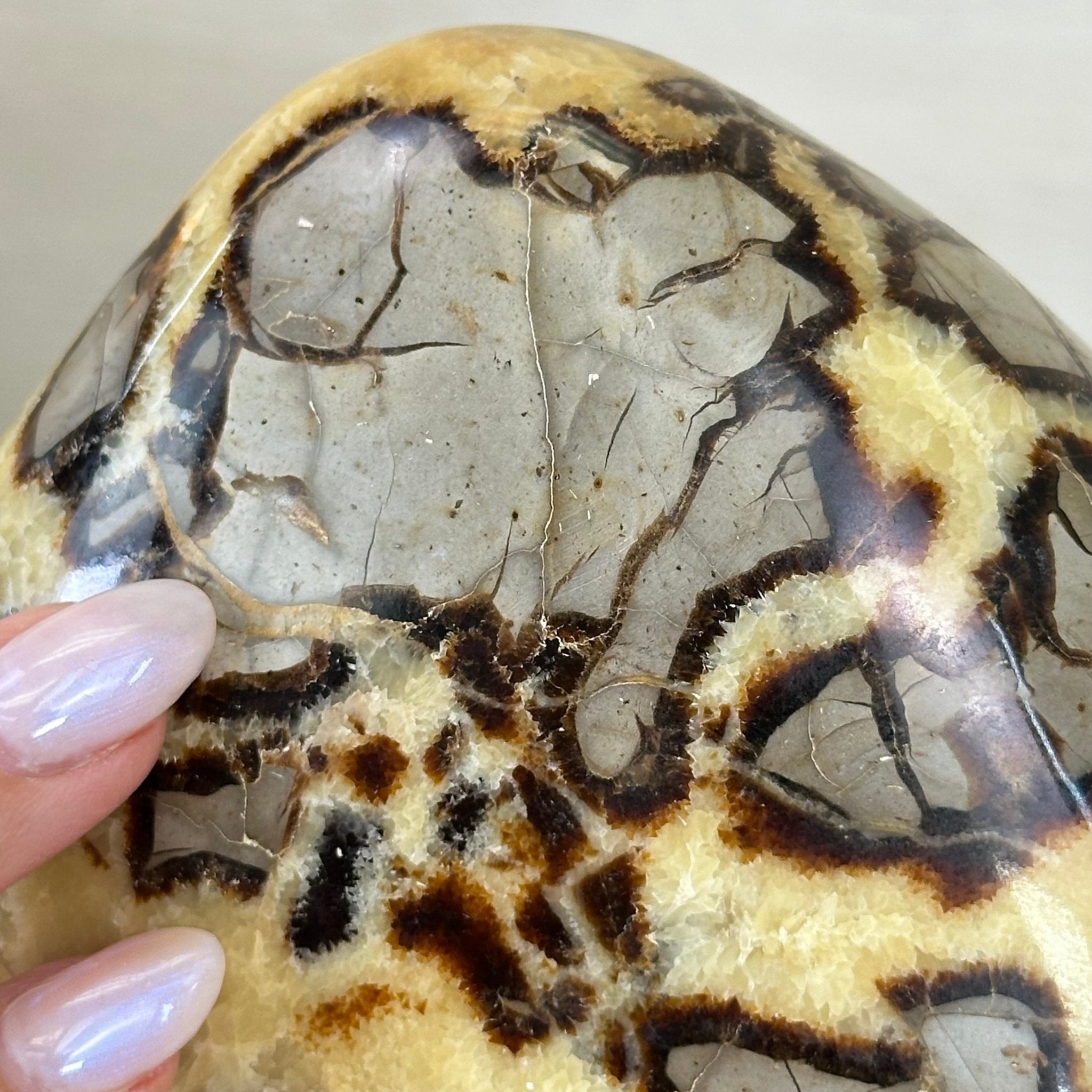Polished Freeform Septarian Gemstone, 6.3 lbs & 6.2” Tall #3301SP - 001 - Brazil GemsBrazil GemsPolished Freeform Septarian Gemstone, 6.3 lbs & 6.2” Tall #3301SP - 001Freeform & Unique Shapes3301SP - 001