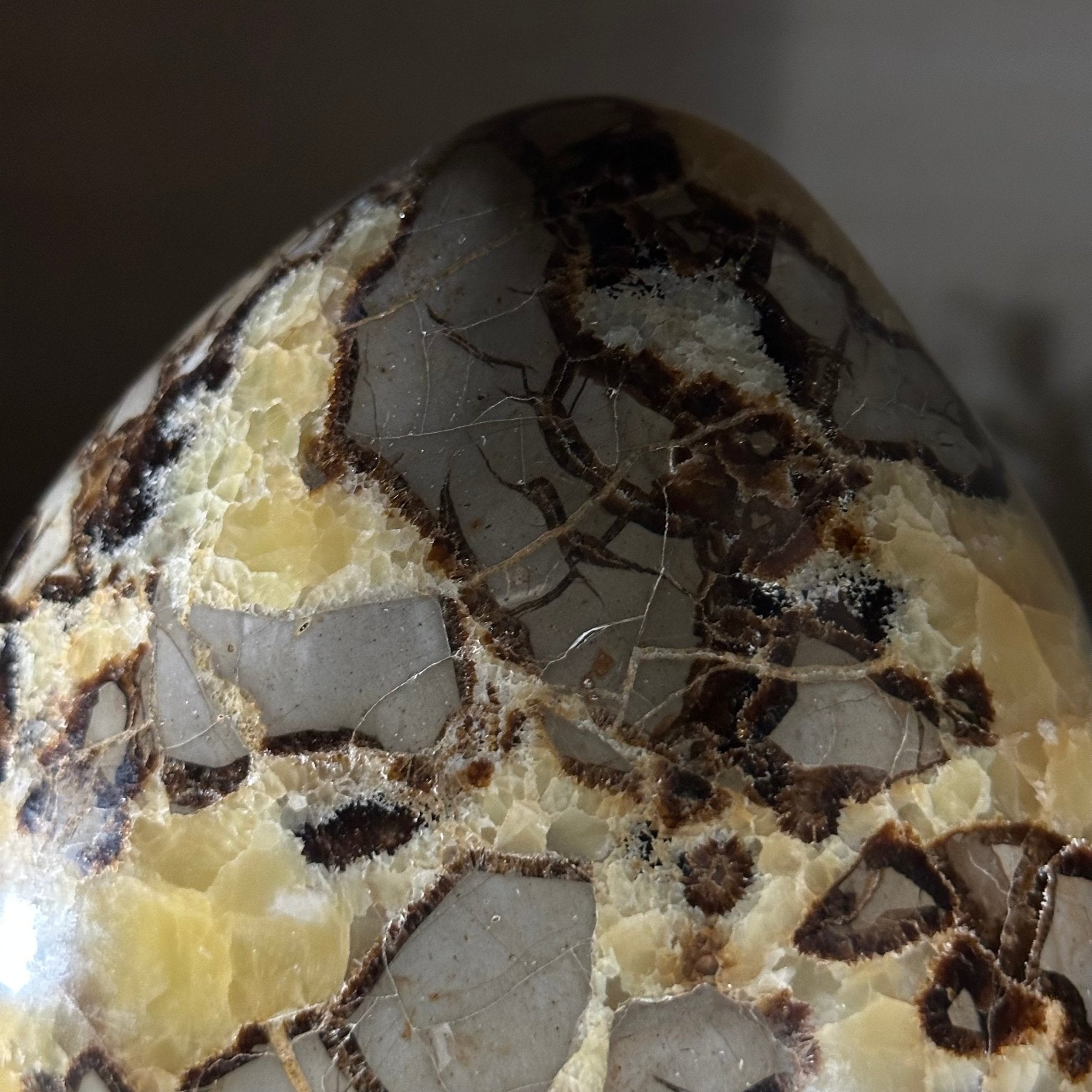 Polished Freeform Septarian Gemstone, 6.3 lbs & 6.2” Tall #3301SP - 001 - Brazil GemsBrazil GemsPolished Freeform Septarian Gemstone, 6.3 lbs & 6.2” Tall #3301SP - 001Freeform & Unique Shapes3301SP - 001