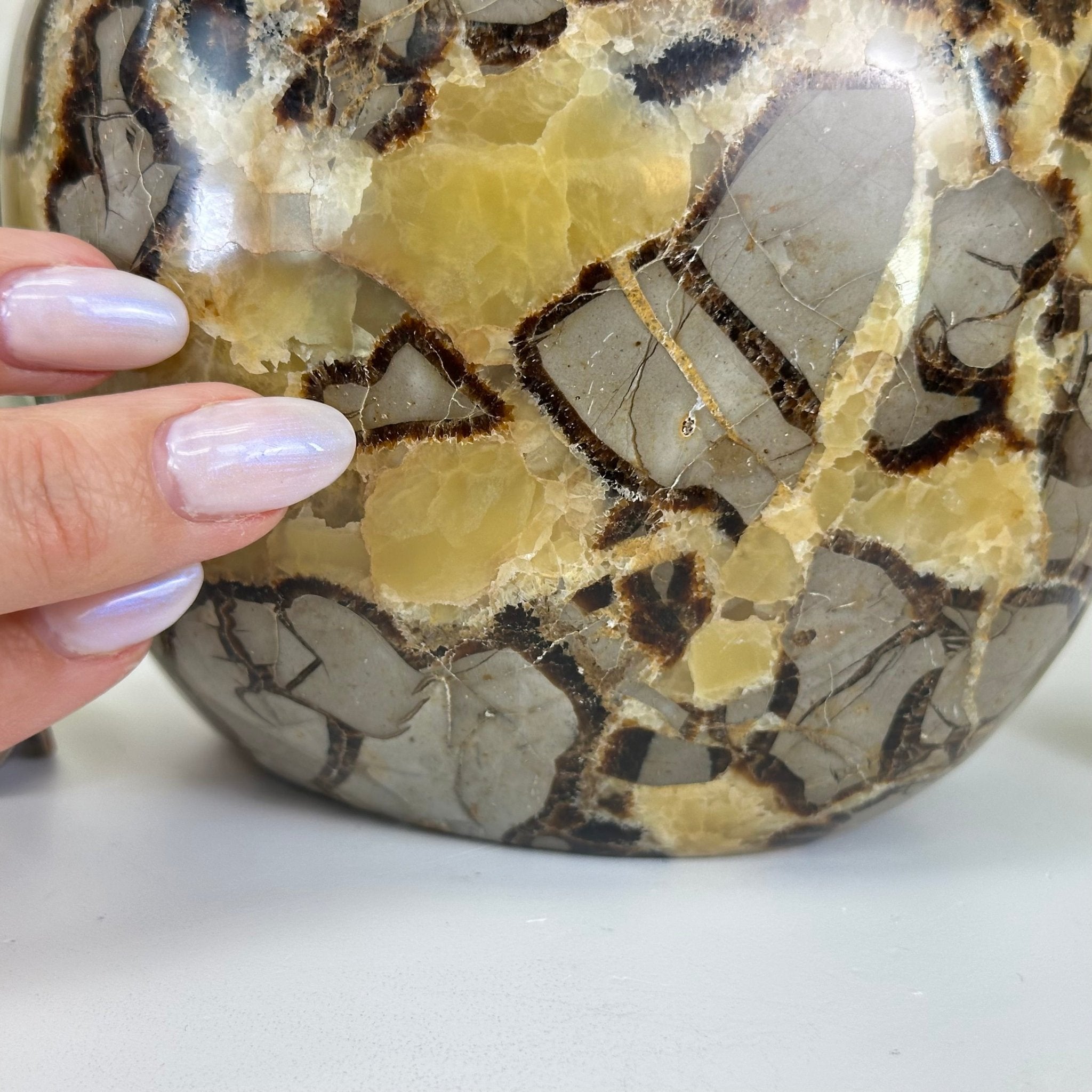 Polished Freeform Septarian Gemstone, 6.3 lbs & 6.2” Tall #3301SP - 001 - Brazil GemsBrazil GemsPolished Freeform Septarian Gemstone, 6.3 lbs & 6.2” Tall #3301SP - 001Freeform & Unique Shapes3301SP - 001