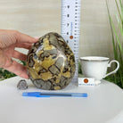 Polished Freeform Septarian Gemstone, 6.3 lbs & 6.2” Tall #3301SP - 001 - Brazil GemsBrazil GemsPolished Freeform Septarian Gemstone, 6.3 lbs & 6.2” Tall #3301SP - 001Freeform & Unique Shapes3301SP - 001