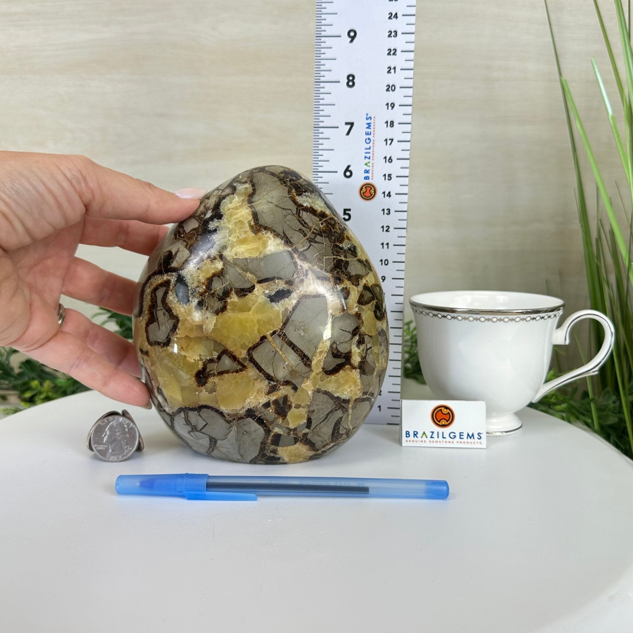 Polished Freeform Septarian Gemstone, 6.3 lbs & 6.2” Tall #3301SP - 001 - Brazil GemsBrazil GemsPolished Freeform Septarian Gemstone, 6.3 lbs & 6.2” Tall #3301SP - 001Freeform & Unique Shapes3301SP - 001