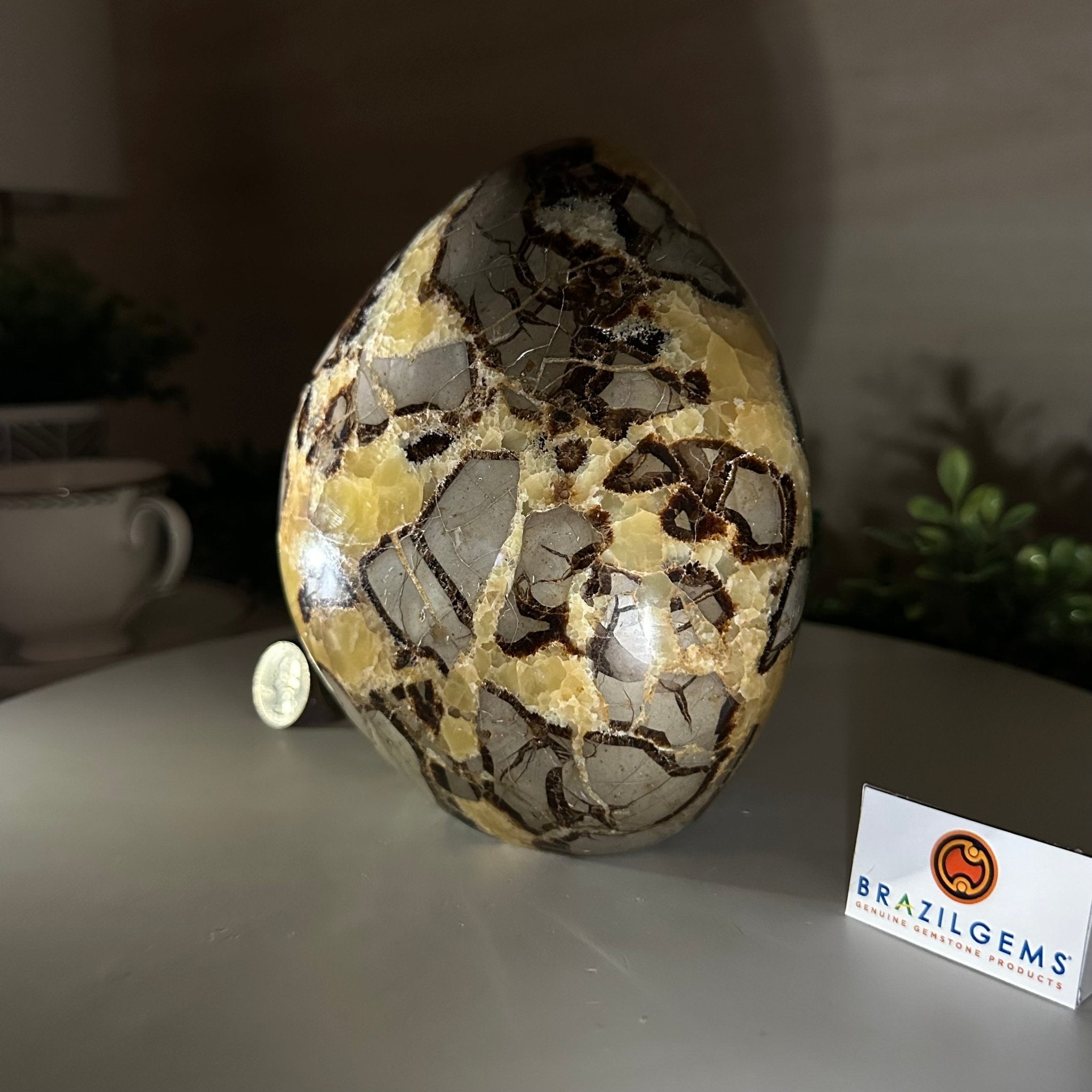 Polished Freeform Septarian Gemstone, 6.3 lbs & 6.2” Tall #3301SP - 001 - Brazil GemsBrazil GemsPolished Freeform Septarian Gemstone, 6.3 lbs & 6.2” Tall #3301SP - 001Freeform & Unique Shapes3301SP - 001