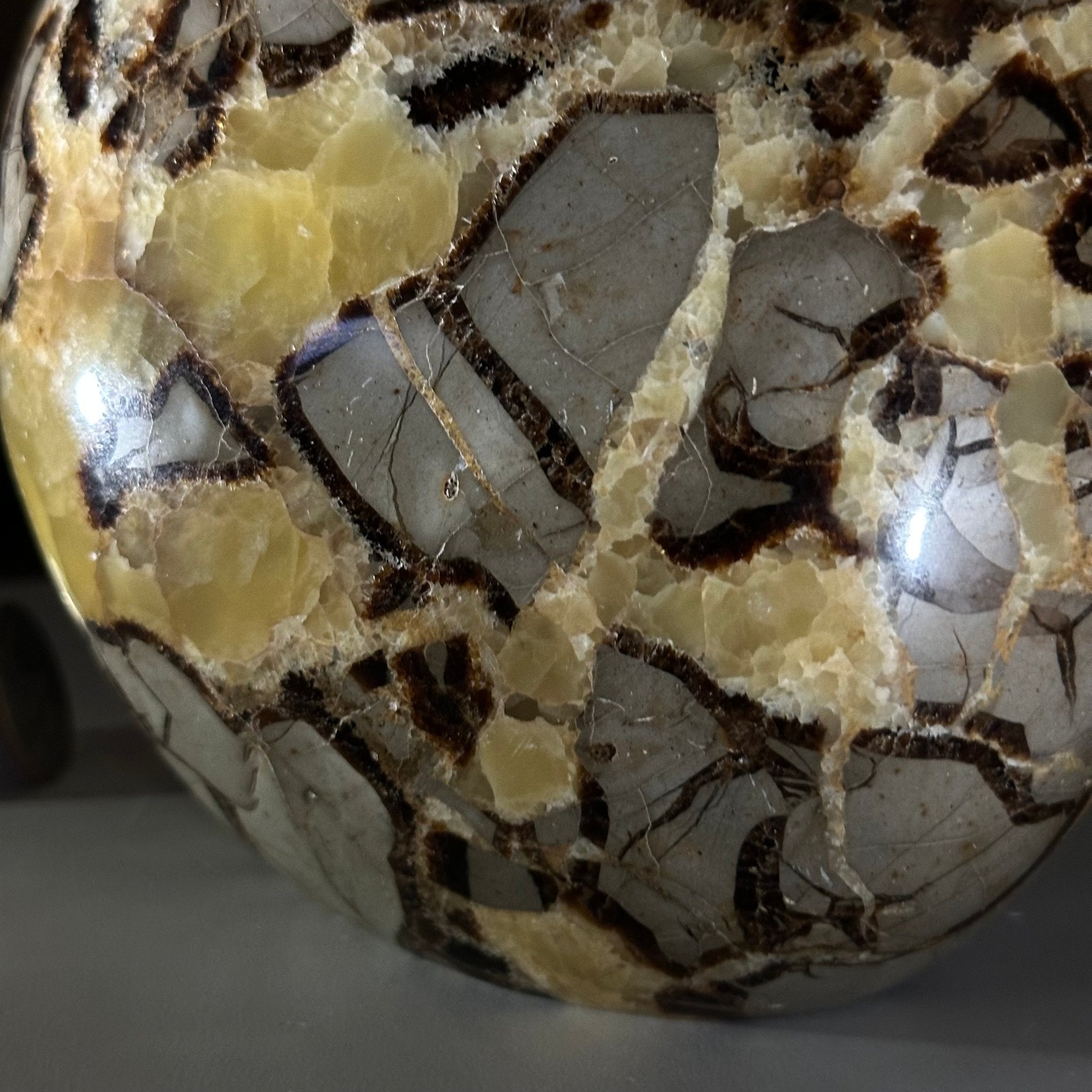 Polished Freeform Septarian Gemstone, 6.3 lbs & 6.2” Tall #3301SP - 001 - Brazil GemsBrazil GemsPolished Freeform Septarian Gemstone, 6.3 lbs & 6.2” Tall #3301SP - 001Freeform & Unique Shapes3301SP - 001