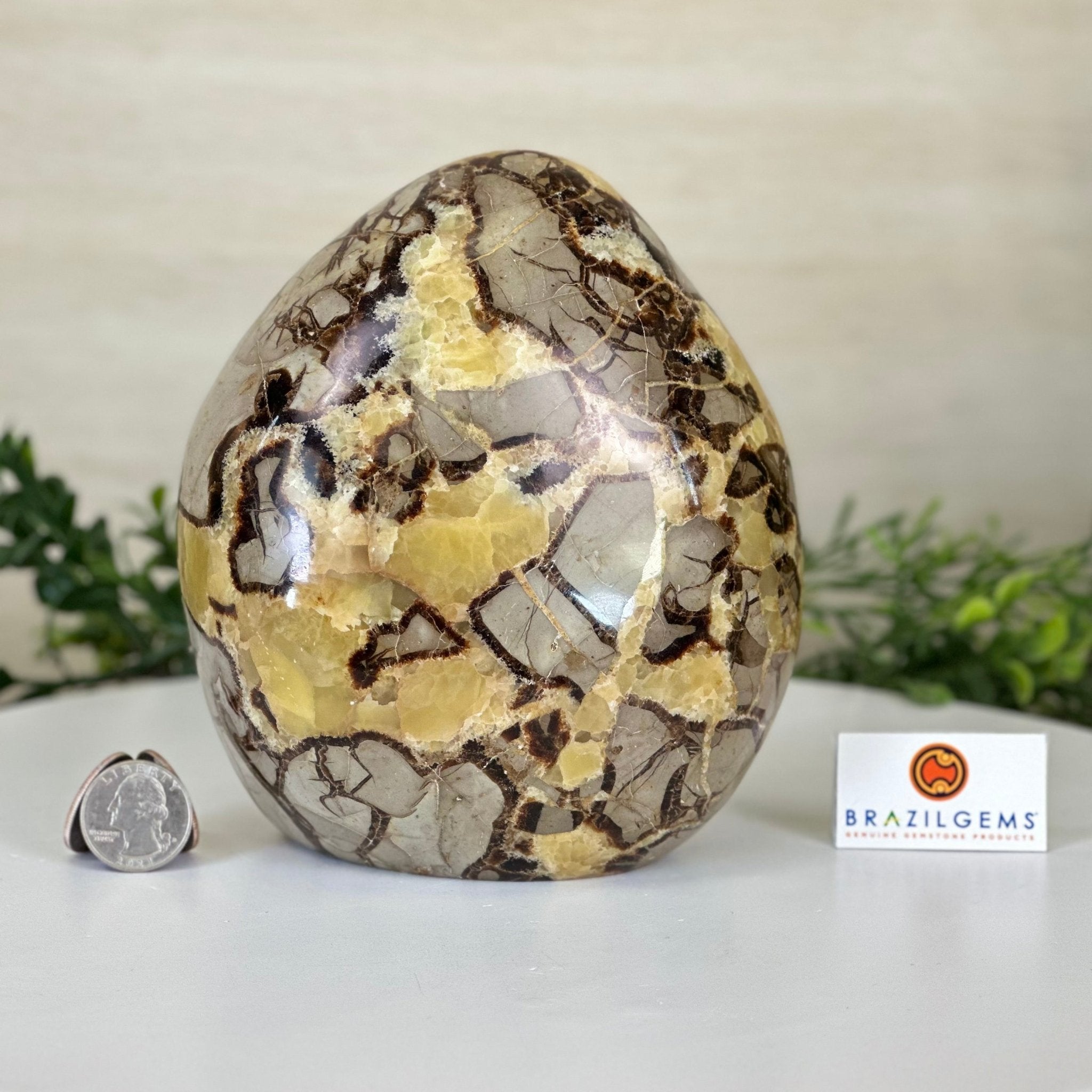 Polished Freeform Septarian Gemstone, 6.3 lbs & 6.2” Tall #3301SP - 001 - Brazil GemsBrazil GemsPolished Freeform Septarian Gemstone, 6.3 lbs & 6.2” Tall #3301SP - 001Freeform & Unique Shapes3301SP - 001