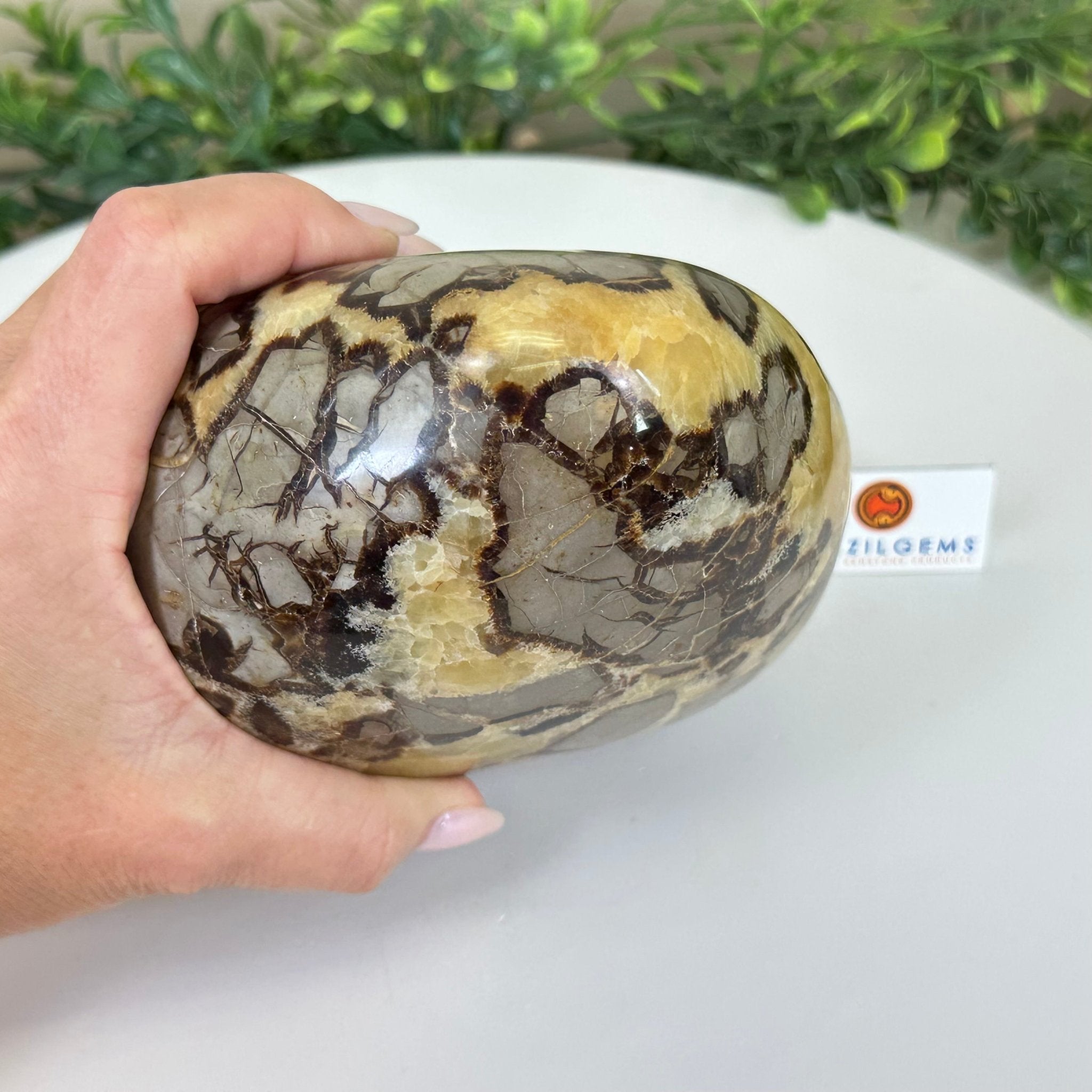 Polished Freeform Septarian Gemstone, 6.3 lbs & 6.2” Tall #3301SP - 001 - Brazil GemsBrazil GemsPolished Freeform Septarian Gemstone, 6.3 lbs & 6.2” Tall #3301SP - 001Freeform & Unique Shapes3301SP - 001