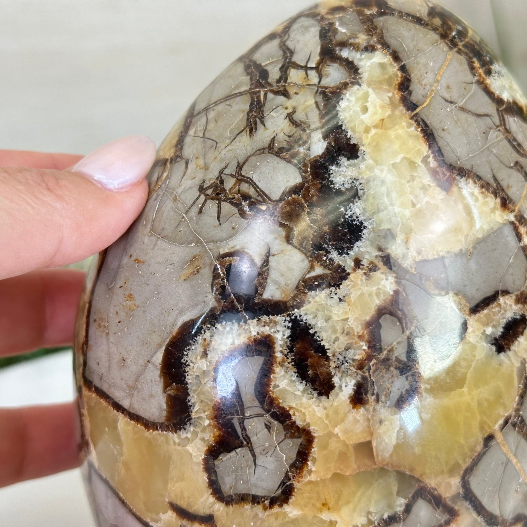 Polished Freeform Septarian Gemstone, 6.3 lbs & 6.2” Tall #3301SP - 001 - Brazil GemsBrazil GemsPolished Freeform Septarian Gemstone, 6.3 lbs & 6.2” Tall #3301SP - 001Freeform & Unique Shapes3301SP - 001
