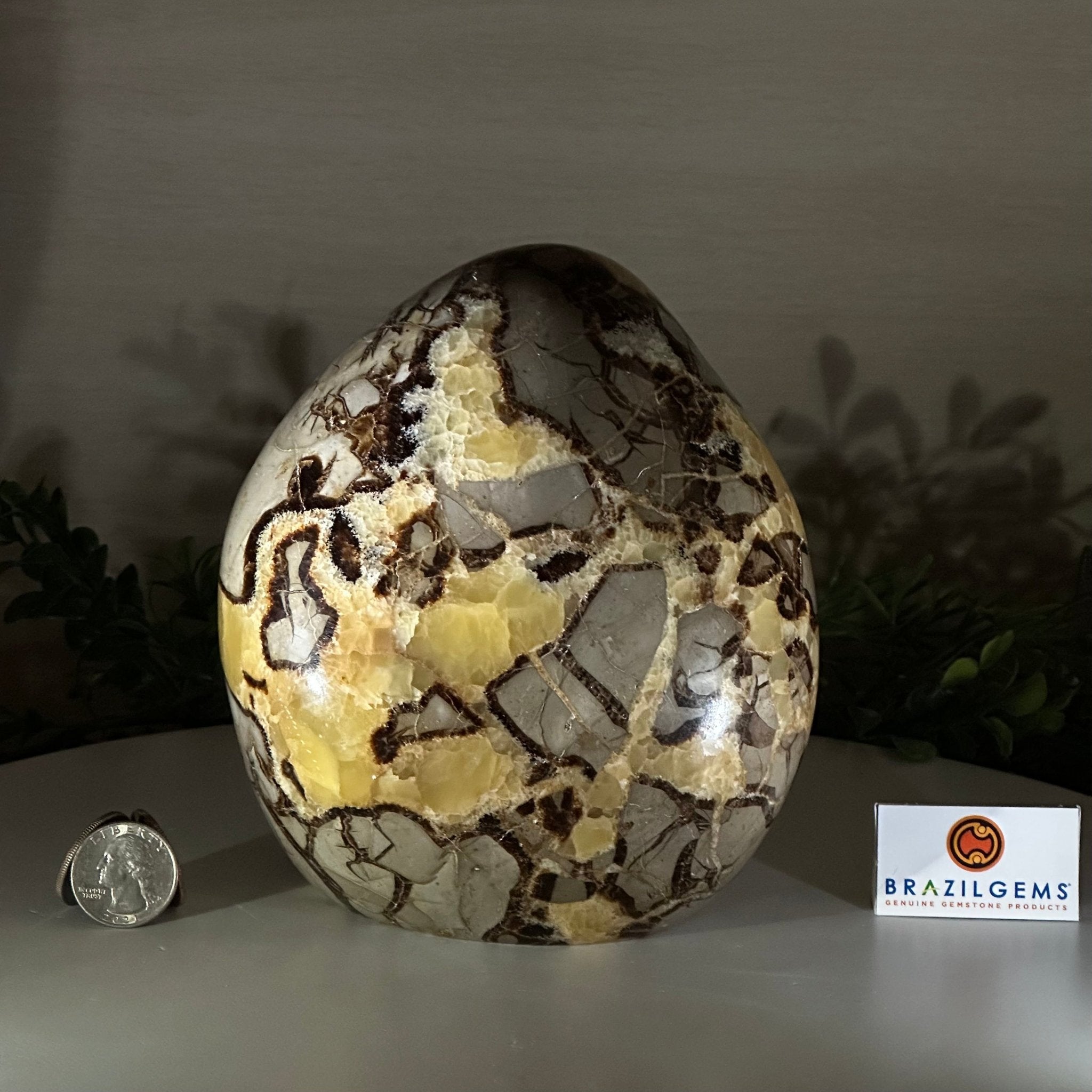 Polished Freeform Septarian Gemstone, 6.3 lbs & 6.2” Tall #3301SP - 001 - Brazil GemsBrazil GemsPolished Freeform Septarian Gemstone, 6.3 lbs & 6.2” Tall #3301SP - 001Freeform & Unique Shapes3301SP - 001