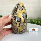 Polished Freeform Septarian Gemstone, 6.3 lbs & 6.2” Tall #3301SP - 001 - Brazil GemsBrazil GemsPolished Freeform Septarian Gemstone, 6.3 lbs & 6.2” Tall #3301SP - 001Freeform & Unique Shapes3301SP - 001