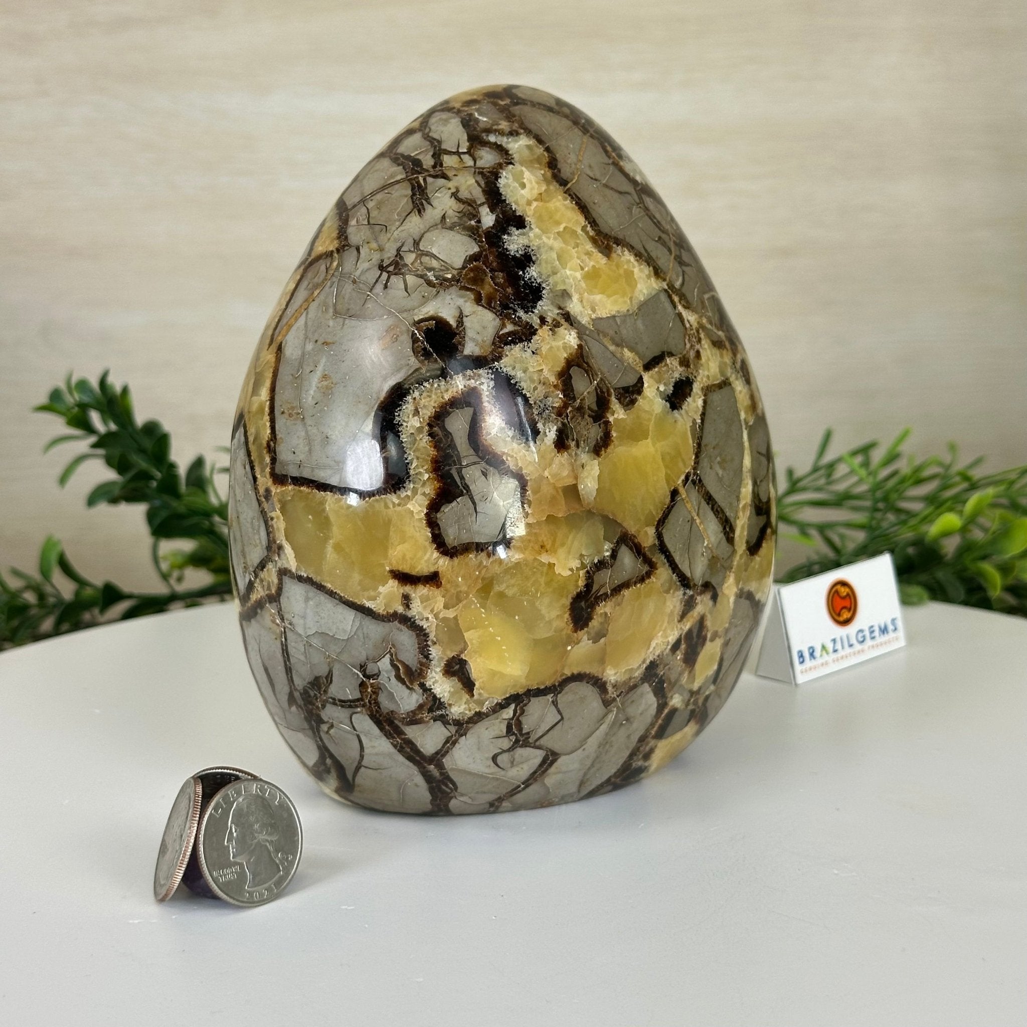 Polished Freeform Septarian Gemstone, 6.3 lbs & 6.2” Tall #3301SP - 001 - Brazil GemsBrazil GemsPolished Freeform Septarian Gemstone, 6.3 lbs & 6.2” Tall #3301SP - 001Freeform & Unique Shapes3301SP - 001