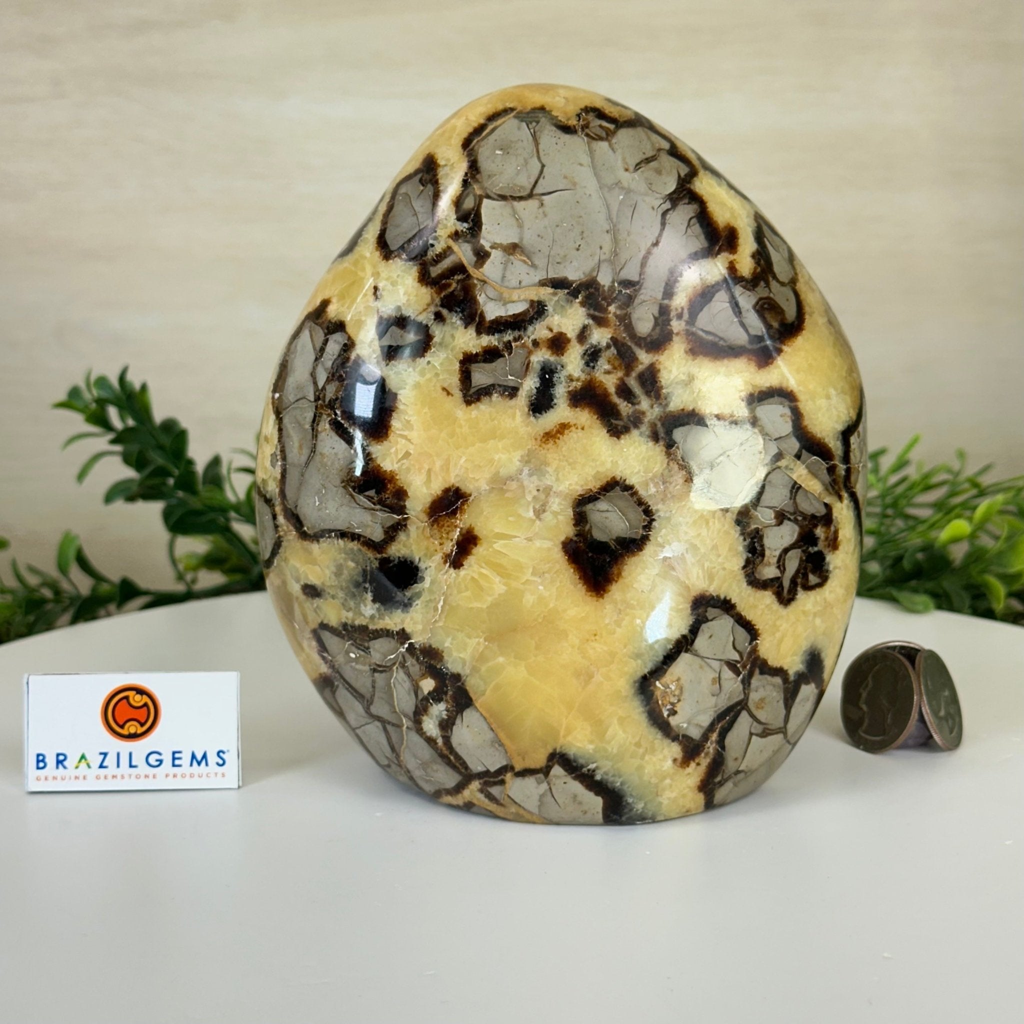 Polished Freeform Septarian Gemstone, 6.3 lbs & 6.2” Tall #3301SP - 001 - Brazil GemsBrazil GemsPolished Freeform Septarian Gemstone, 6.3 lbs & 6.2” Tall #3301SP - 001Freeform & Unique Shapes3301SP - 001