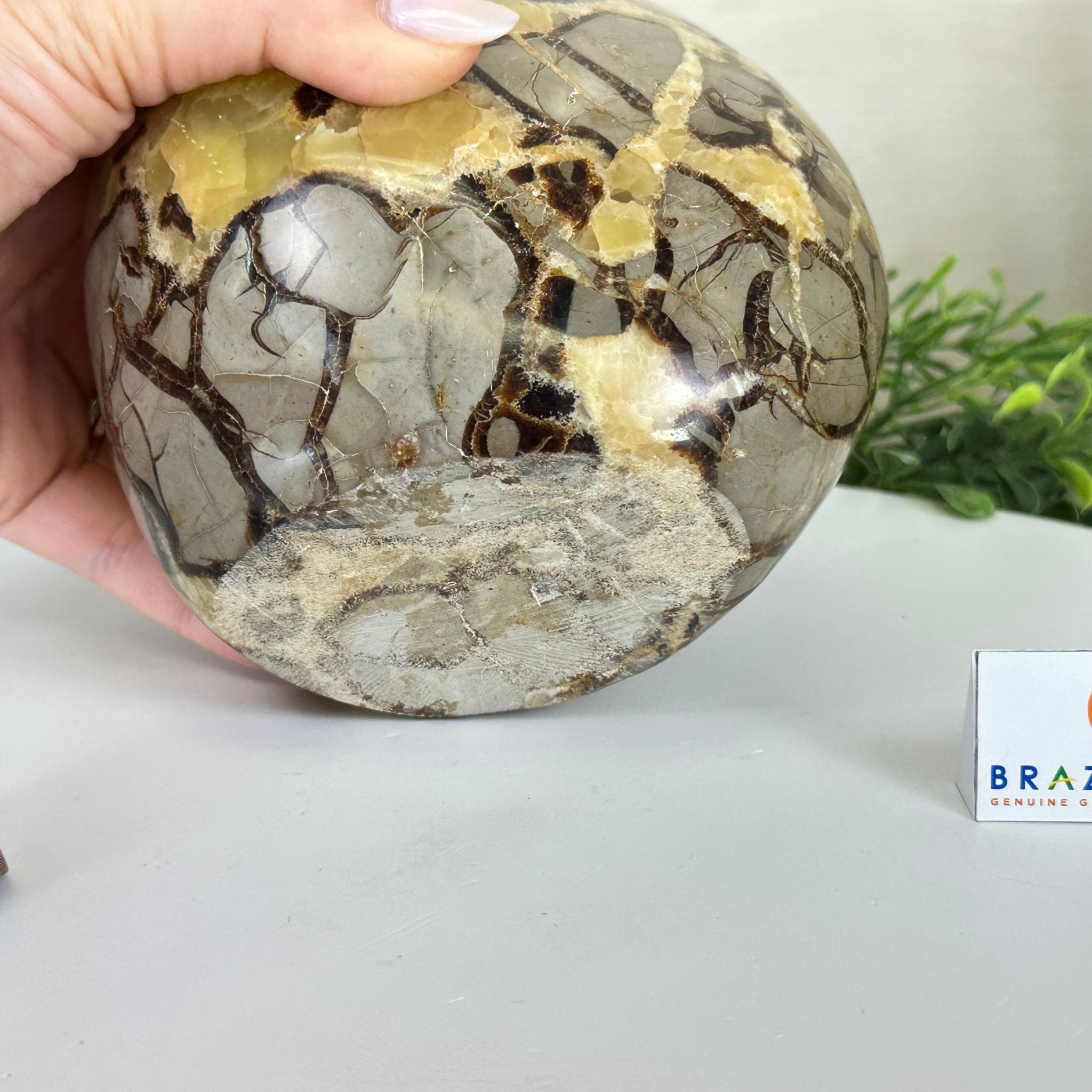 Polished Freeform Septarian Gemstone, 6.3 lbs & 6.2” Tall #3301SP - 001 - Brazil GemsBrazil GemsPolished Freeform Septarian Gemstone, 6.3 lbs & 6.2” Tall #3301SP - 001Freeform & Unique Shapes3301SP - 001