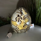 Polished Freeform Septarian Gemstone, 6.3 lbs & 6.2” Tall #3301SP - 001 - Brazil GemsBrazil GemsPolished Freeform Septarian Gemstone, 6.3 lbs & 6.2” Tall #3301SP - 001Freeform & Unique Shapes3301SP - 001