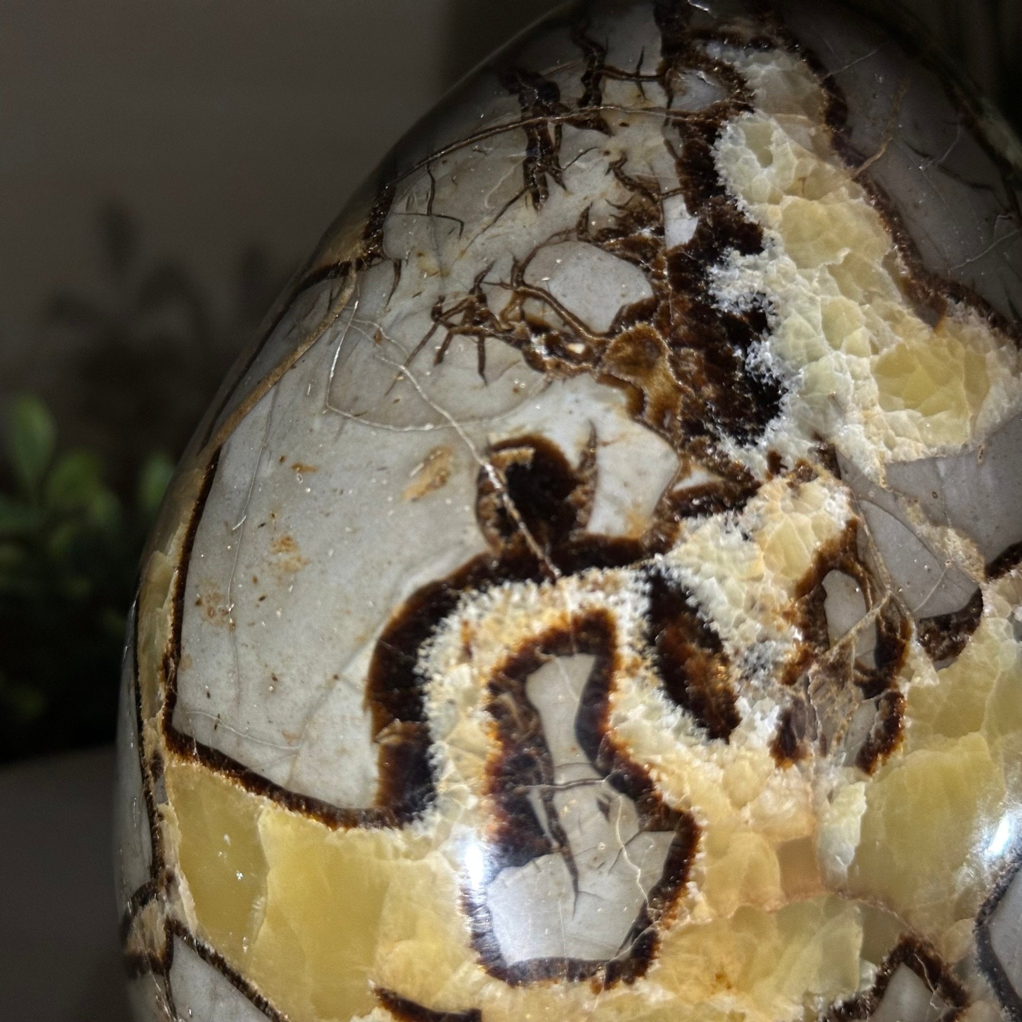 Polished Freeform Septarian Gemstone, 6.3 lbs & 6.2” Tall #3301SP - 001 - Brazil GemsBrazil GemsPolished Freeform Septarian Gemstone, 6.3 lbs & 6.2” Tall #3301SP - 001Freeform & Unique Shapes3301SP - 001